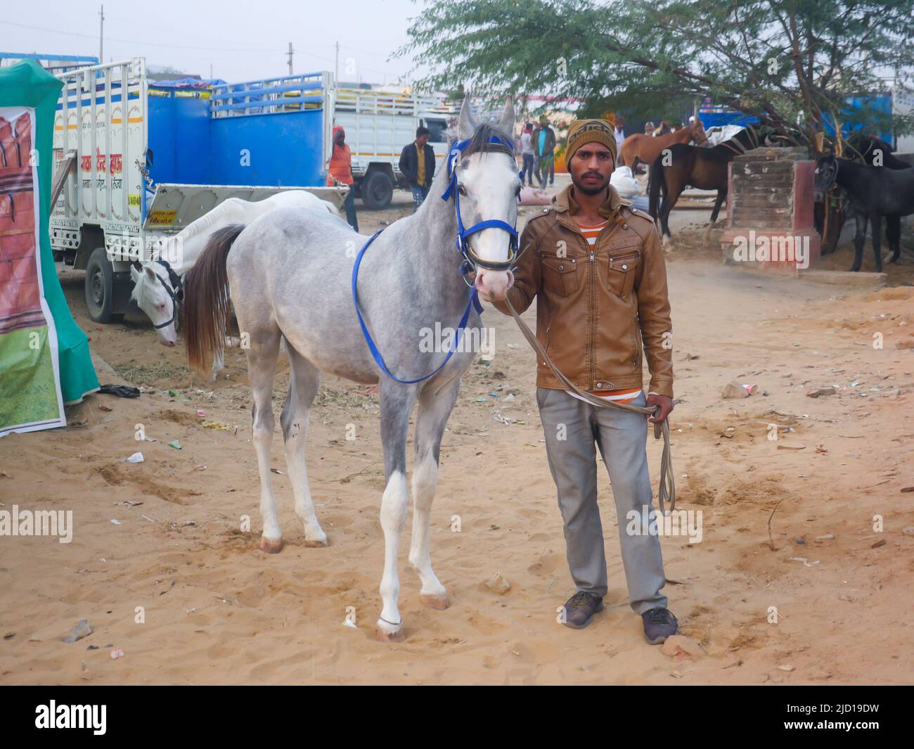 Pushkar, Rajasthan Inde - 14 novembre 2021 : les chevaux se sont rassemblés pour le commerce au festival indien du bétail le plus populaire à la foire de Pouchkar Camel. Banque D'Images Pushkar, Rajasthan Inde - 14 novembre 2021 : les chevaux se sont rassemblés pour le commerce au festival indien du bétail le plus populaire à la foire de Pouchkar Camel. Banque D'Images