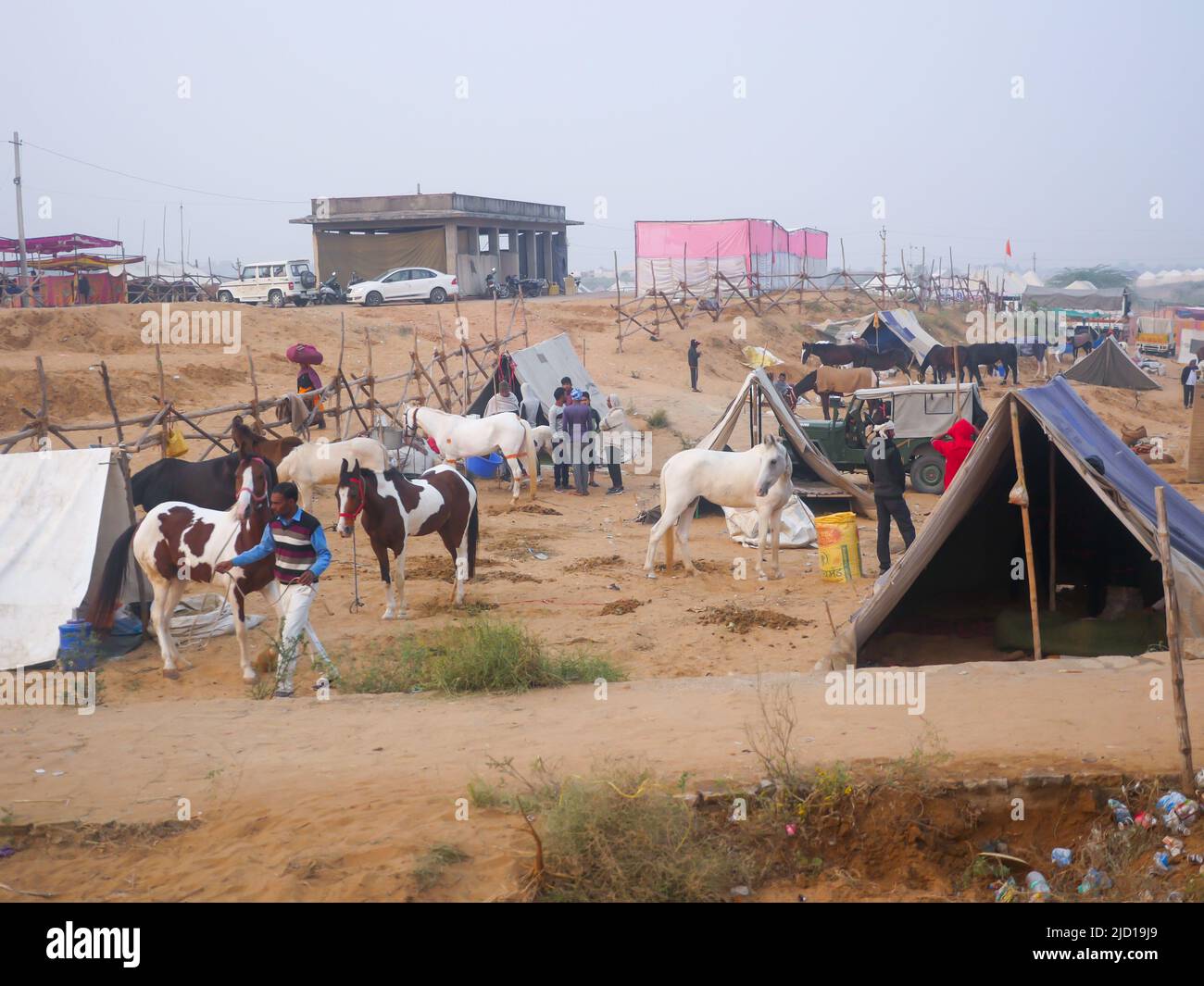 Pushkar, Rajasthan Inde - 14 novembre 2021 : les chevaux se sont rassemblés pour le commerce au festival indien du bétail le plus populaire à la foire de Pouchkar Camel. Banque D'Images Pushkar, Rajasthan Inde - 14 novembre 2021 : les chevaux se sont rassemblés pour le commerce au festival indien du bétail le plus populaire à la foire de Pouchkar Camel. Banque D'Images