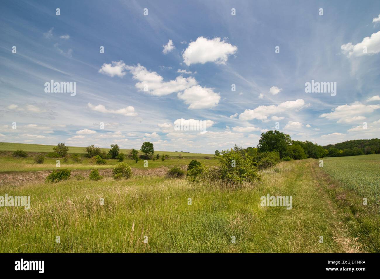 Un sentier poussiéreux autour du champ le jour du printemps sous un ciel bleu avec des nuages. Banque D'Images Un sentier poussiéreux autour du champ le jour du printemps sous un ciel bleu avec des nuages. Banque D'Images