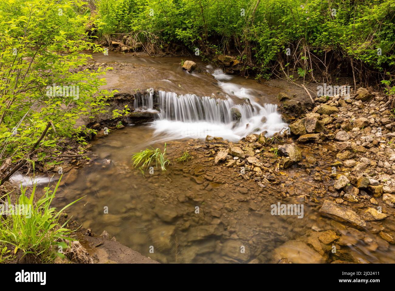 Une crique dans les bois avec une petite cascade. Banque D'Images