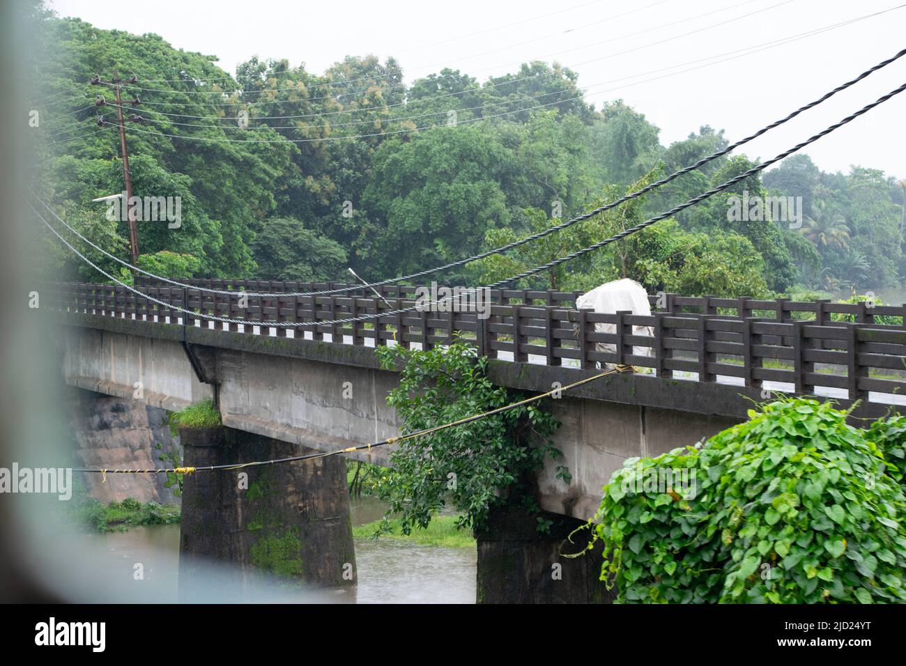 Un pont au milieu de la forêt. Banque D'Images