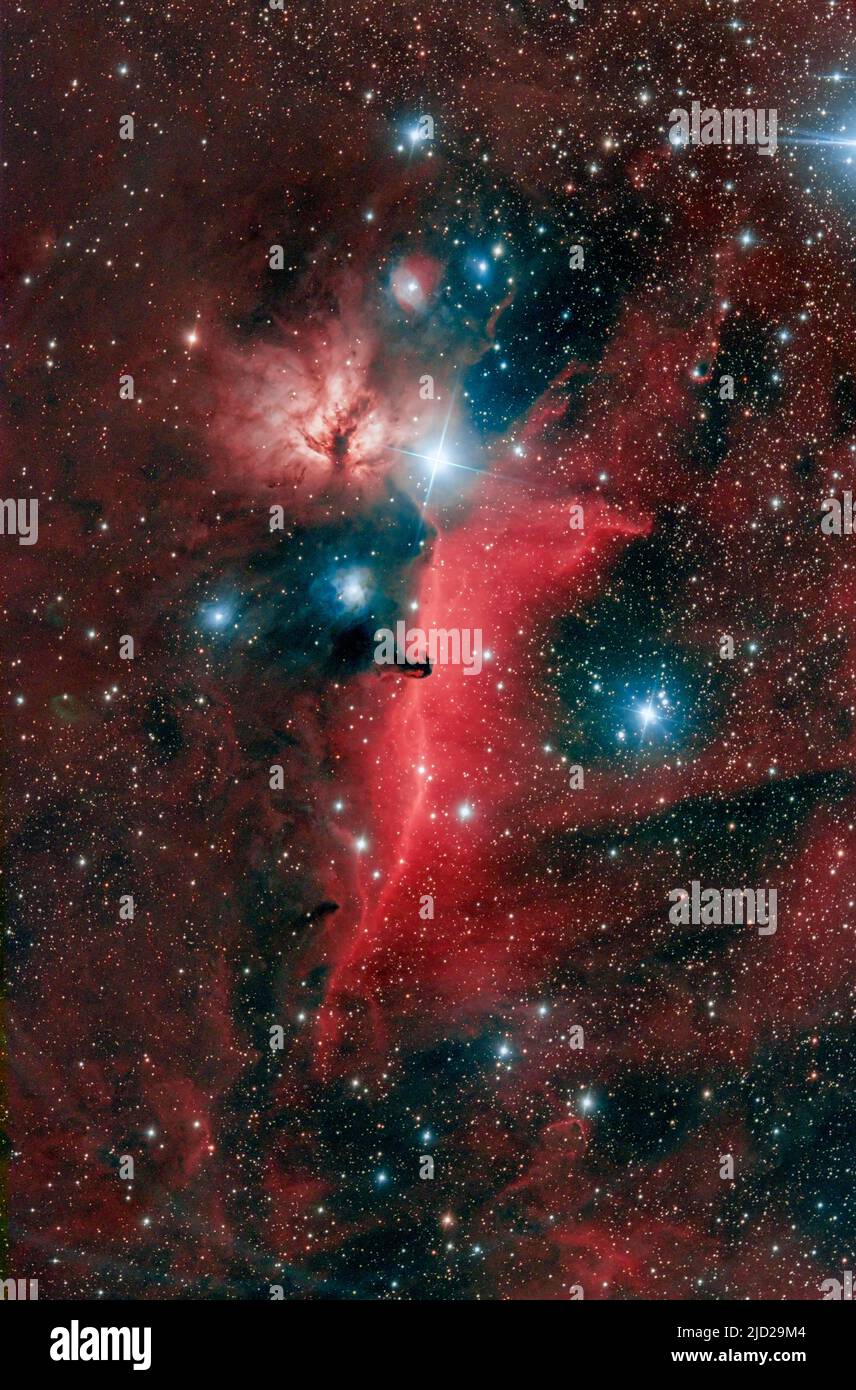 La flamme de la nébuleuse d'émission IC434 et la nébuleuse à cheval sombre, juste au sud de l'étoile lumineuse Alnitak, dans la constellation d'Orion. Banque D'Images