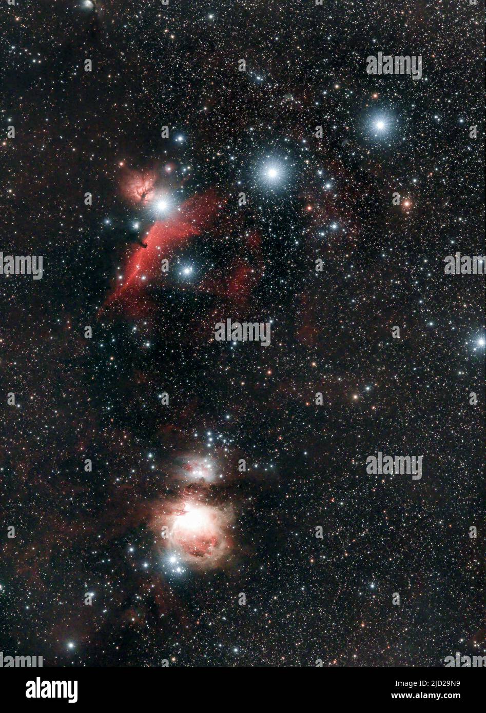 Parties centrales de la constellation Orion avec ceinture d'Orion, nébuleuse à cheval et Messier 42 (la grande nébuleuse d'Orion) visibles. Banque D'Images