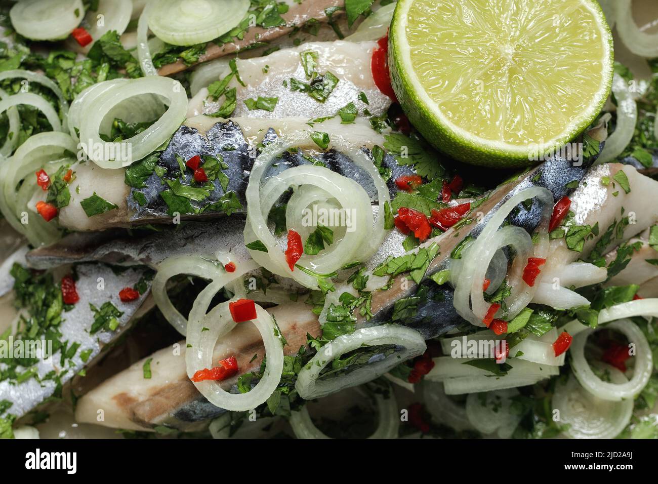 Filet de maquereau mariné aux oignons, aux herbes, au citron vert et au Chili. Cuisine méditerranéenne, hors-d'œuvre, fruits de mer Banque D'Images