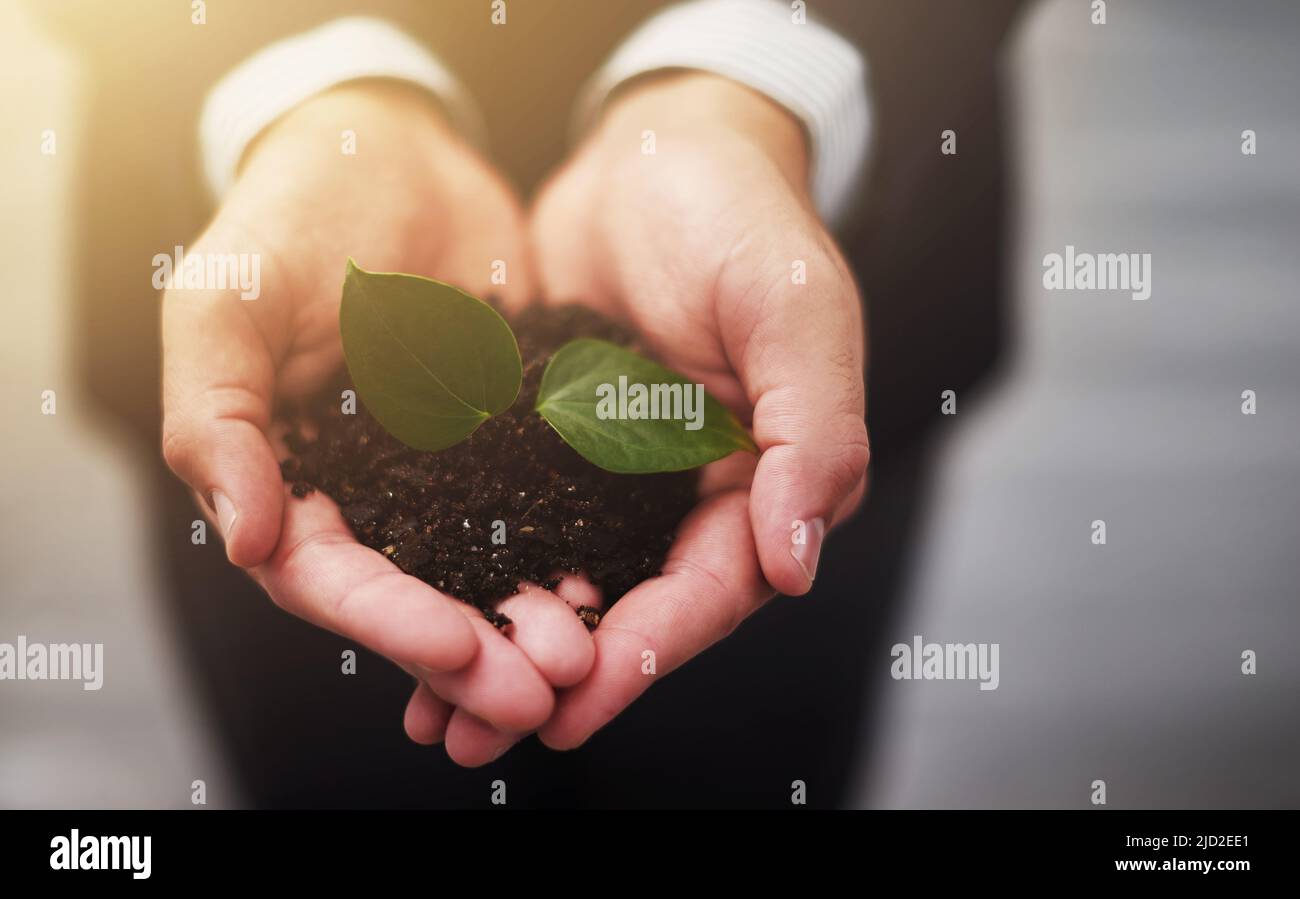 L'avenir de l'entreprise est entre des mains sûres. Plan de culture d'un homme d'affaires tenant une plante poussant dans le sol. Banque D'Images