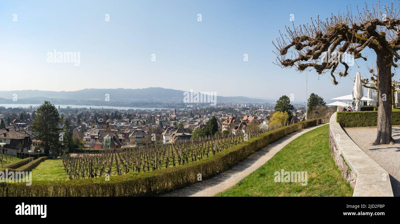 Zurich, Suisse - 26 mars 2022 : vue depuis Sonnenberg sur les vignobles en direction de la ville. Banque D'Images