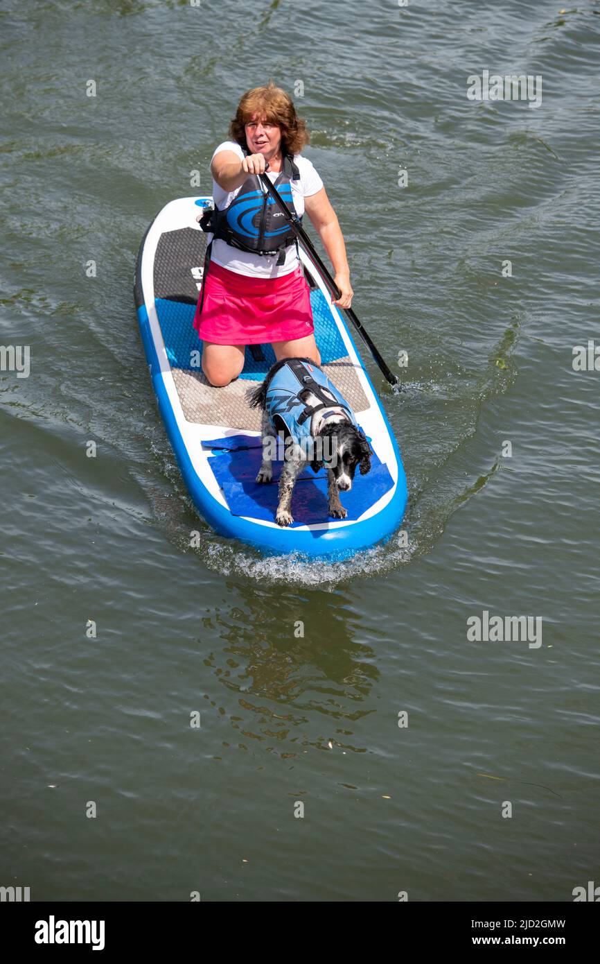 Cambridge, Royaume-Uni. 17th juin 2022. Une femme et un chien restent au frais par temps chaud et ensoleillé sur un paddle-board sur la River Cam. Aujourd'hui, on s'attend à ce que le Royaume-Uni soit le jour le plus chaud de l'année à ce jour et que les températures dépassent 30c dans la vague de chaleur. Crédit : Julian Eales/Alay Live News Banque D'Images