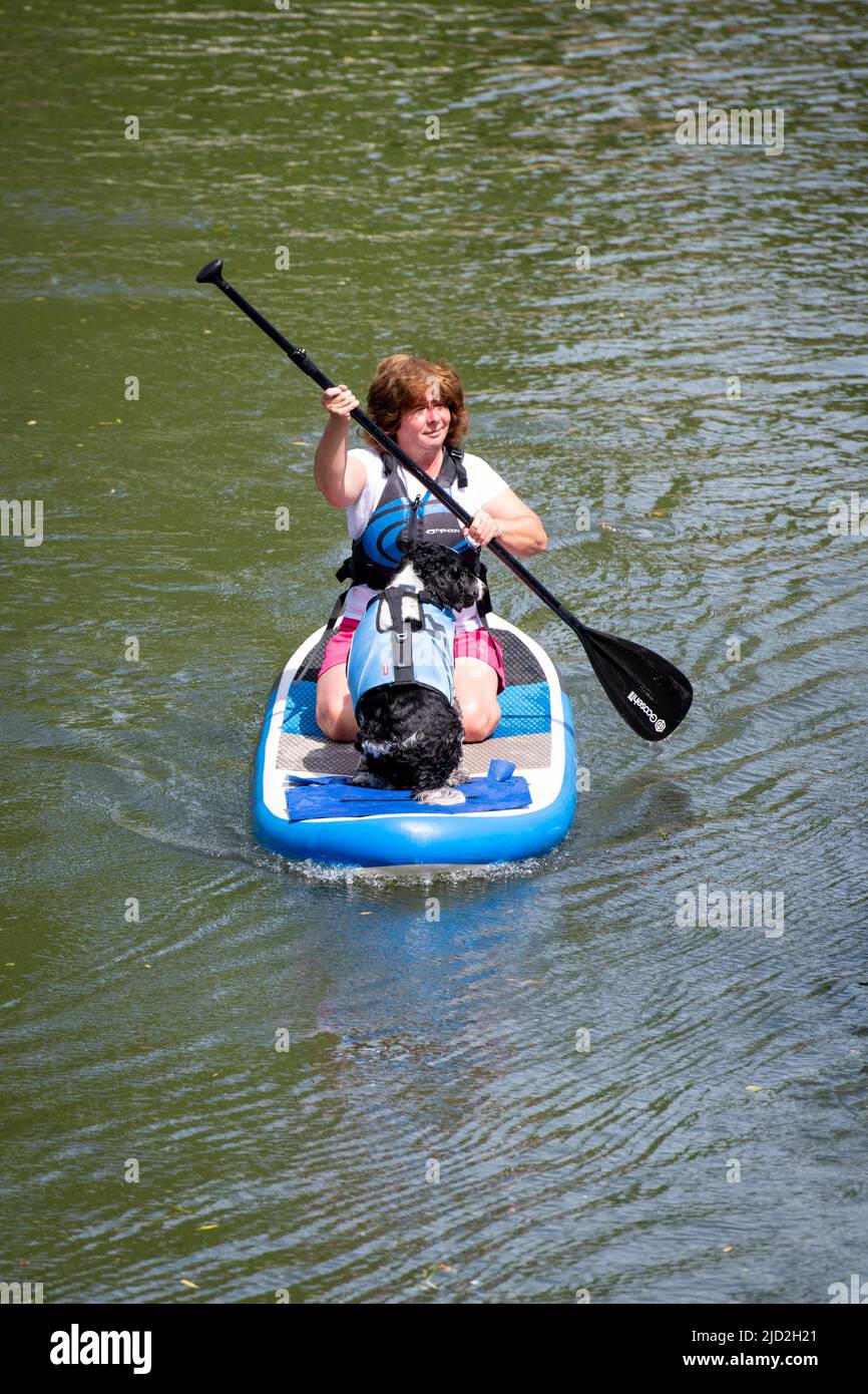 Cambridge, Royaume-Uni. 17th juin 2022. Une femme et un chien restent au frais par temps chaud et ensoleillé sur un paddle-board sur la River Cam. Aujourd'hui, on s'attend à ce que le Royaume-Uni soit le jour le plus chaud de l'année à ce jour et que les températures dépassent 30c dans la vague de chaleur. Crédit : Julian Eales/Alay Live News Banque D'Images