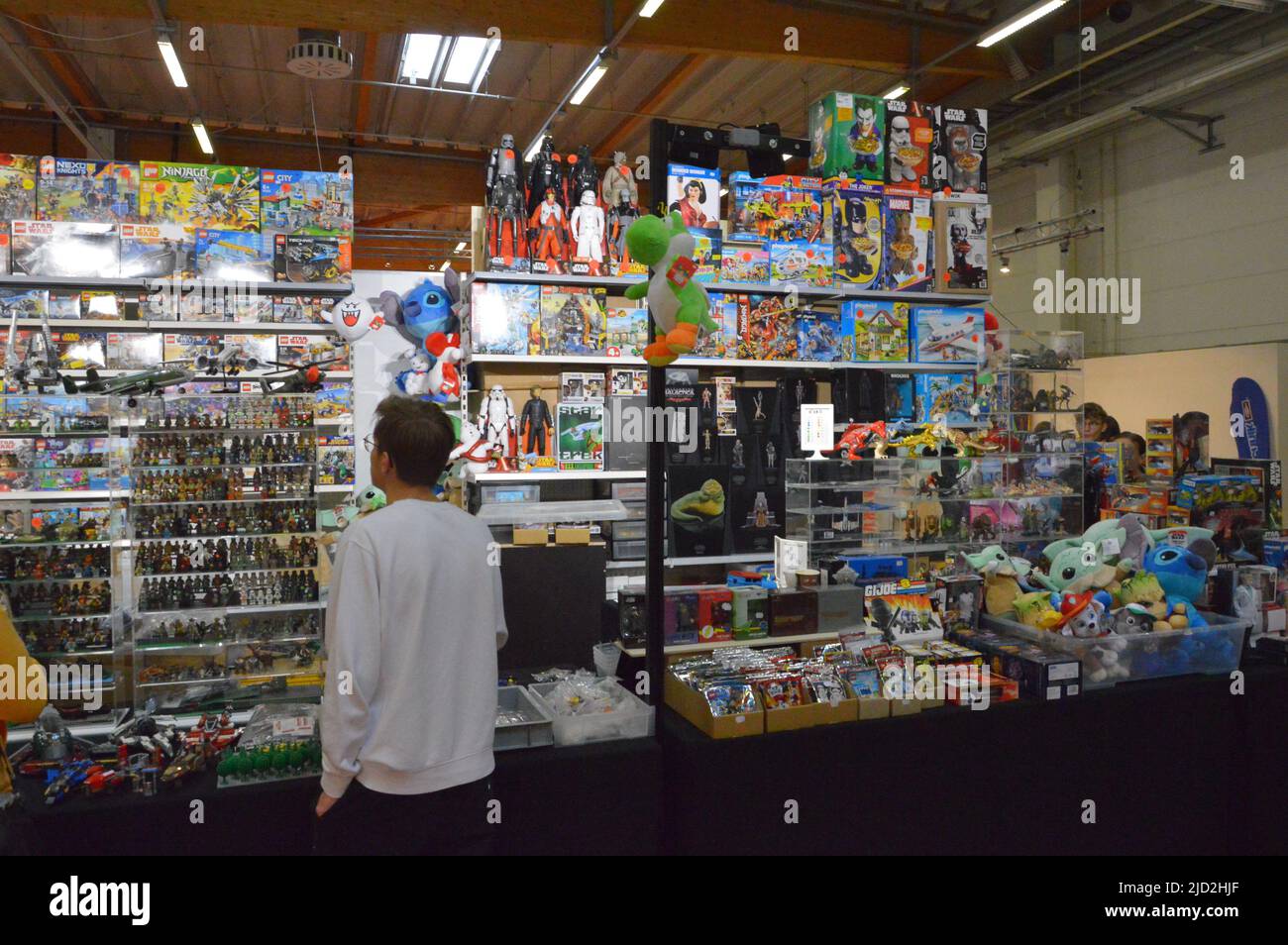 Visiteurs au salon du bâtiment modèle de Bad Salzuflen 2022 Banque D'Images