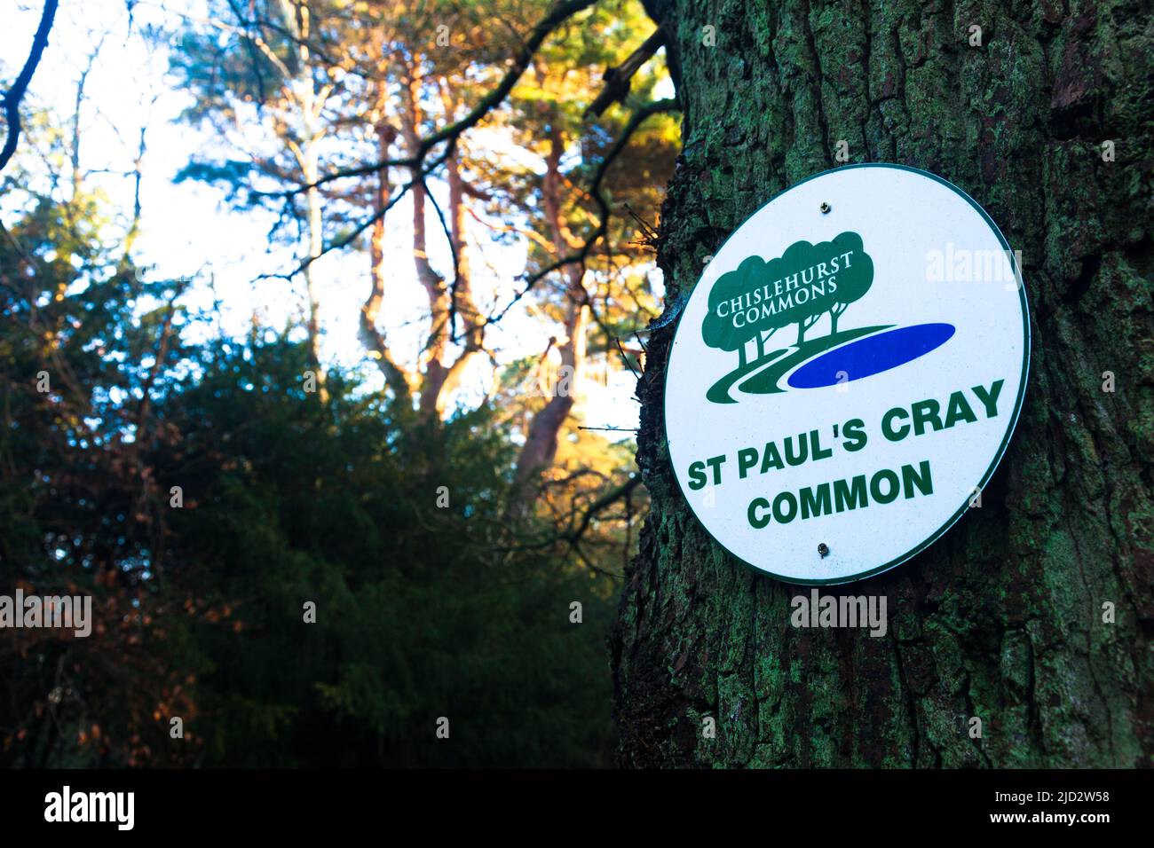 St Pauls Cray Common, Chislehurst, Kent, Royaume-Uni. À London Borough of Bromley, dans le sud-est de Londres. Banque D'Images