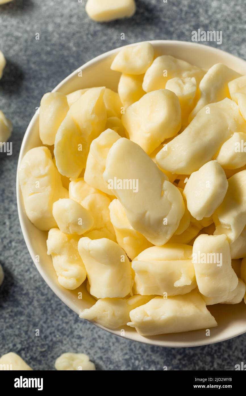 Des caillé de fromage blanc biologique crus dans un bol Banque D'Images
