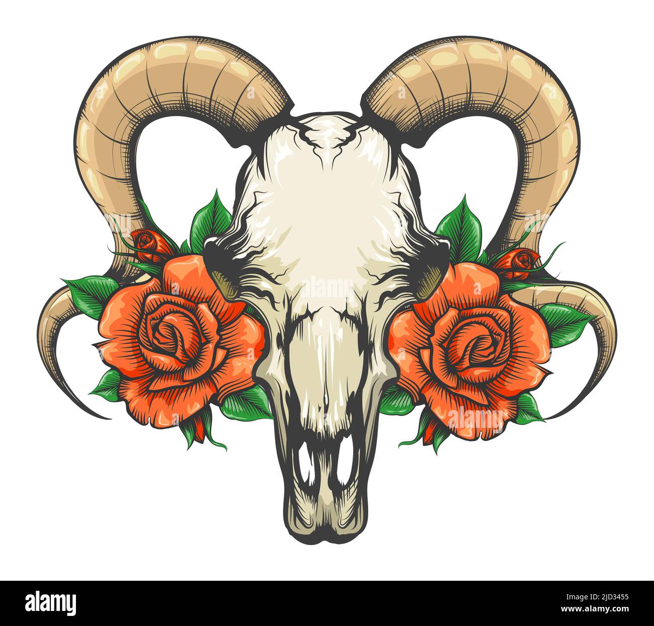 Tatouage de crâne de chèvre avec fleurs de rose tatouage dessiné en style gravure isolé sur blanc. Illustration vectorielle. Illustration de Vecteur