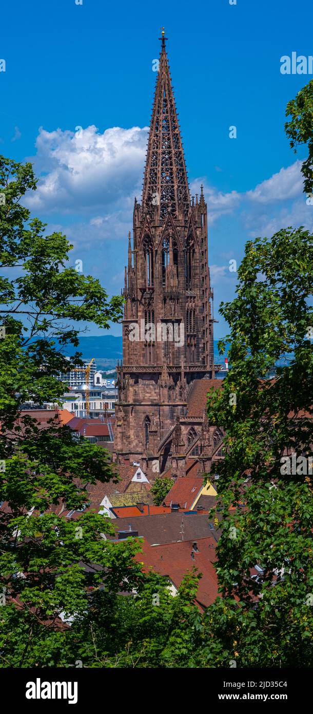 Vue sur les toits de la vieille ville avec la cathédrale de Fribourg, Freiburg im Breisgau, Bade-Wurtemberg, Allemagne Banque D'Images