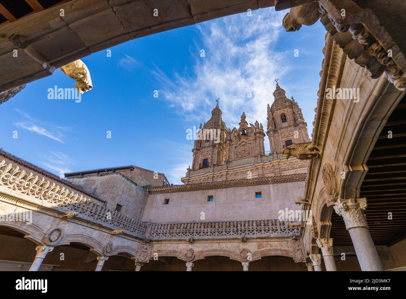 Cour de la Casa de las Conchas dans la ville de Salamanque, en Espagne Banque D'Images