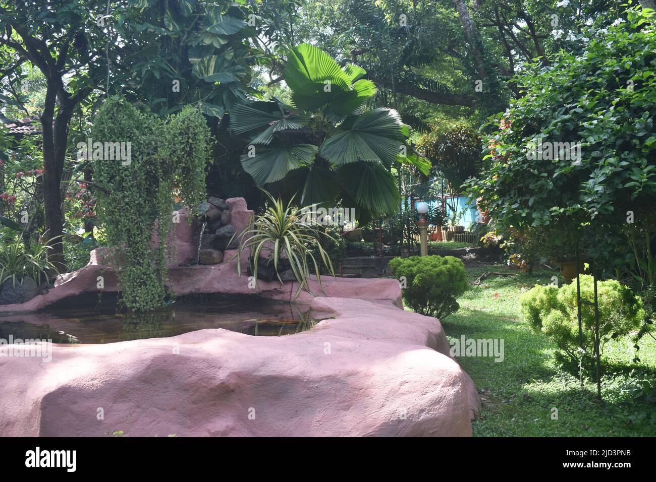 Un jardin paysagé avec des plantes, des fleurs, des arbres fruitiers, des étangs, des fontaines, Statues bouddhistes, bancs de jardin et bien d'autres pour un moment de détente dans un spa Ayurveda. Colombo. Sri Lanka. Banque D'Images