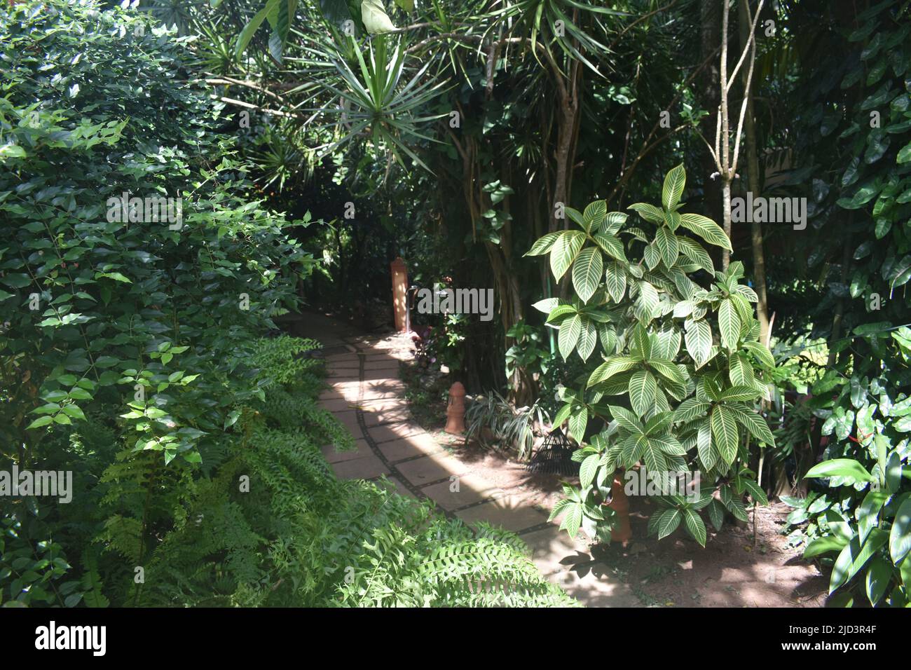 Un jardin paysagé avec des plantes, des fleurs, des arbres fruitiers, des étangs, des fontaines, Statues bouddhistes, bancs de jardin et bien d'autres pour un moment de détente dans un spa Ayurveda. Colombo. Sri Lanka. Banque D'Images