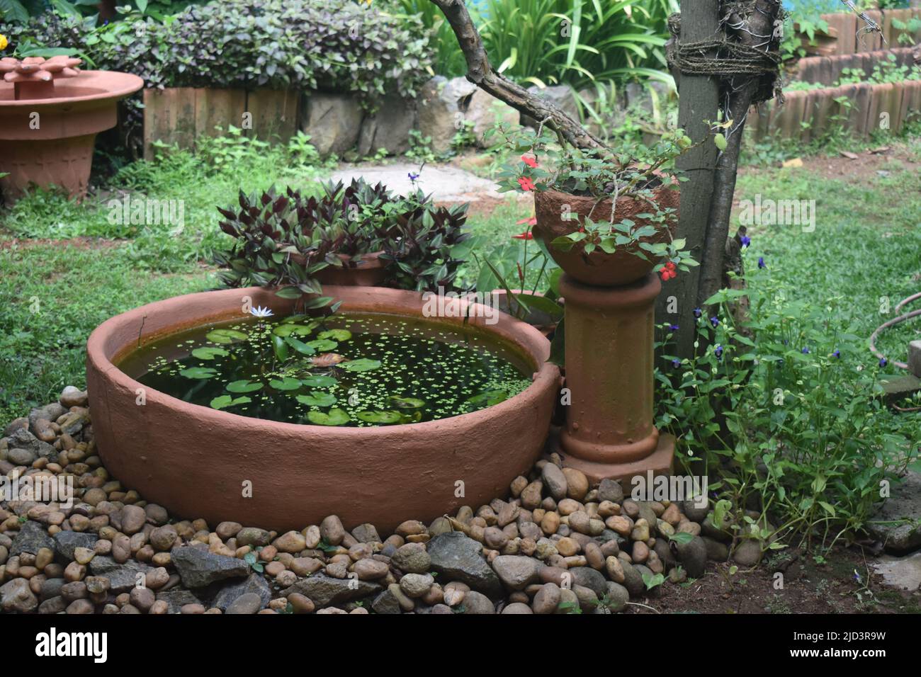 Un jardin paysagé avec des plantes, des fleurs, des arbres fruitiers, des étangs, des fontaines, Statues bouddhistes, bancs de jardin et bien d'autres pour un moment de détente dans un spa Ayurveda. Colombo. Sri Lanka. Banque D'Images