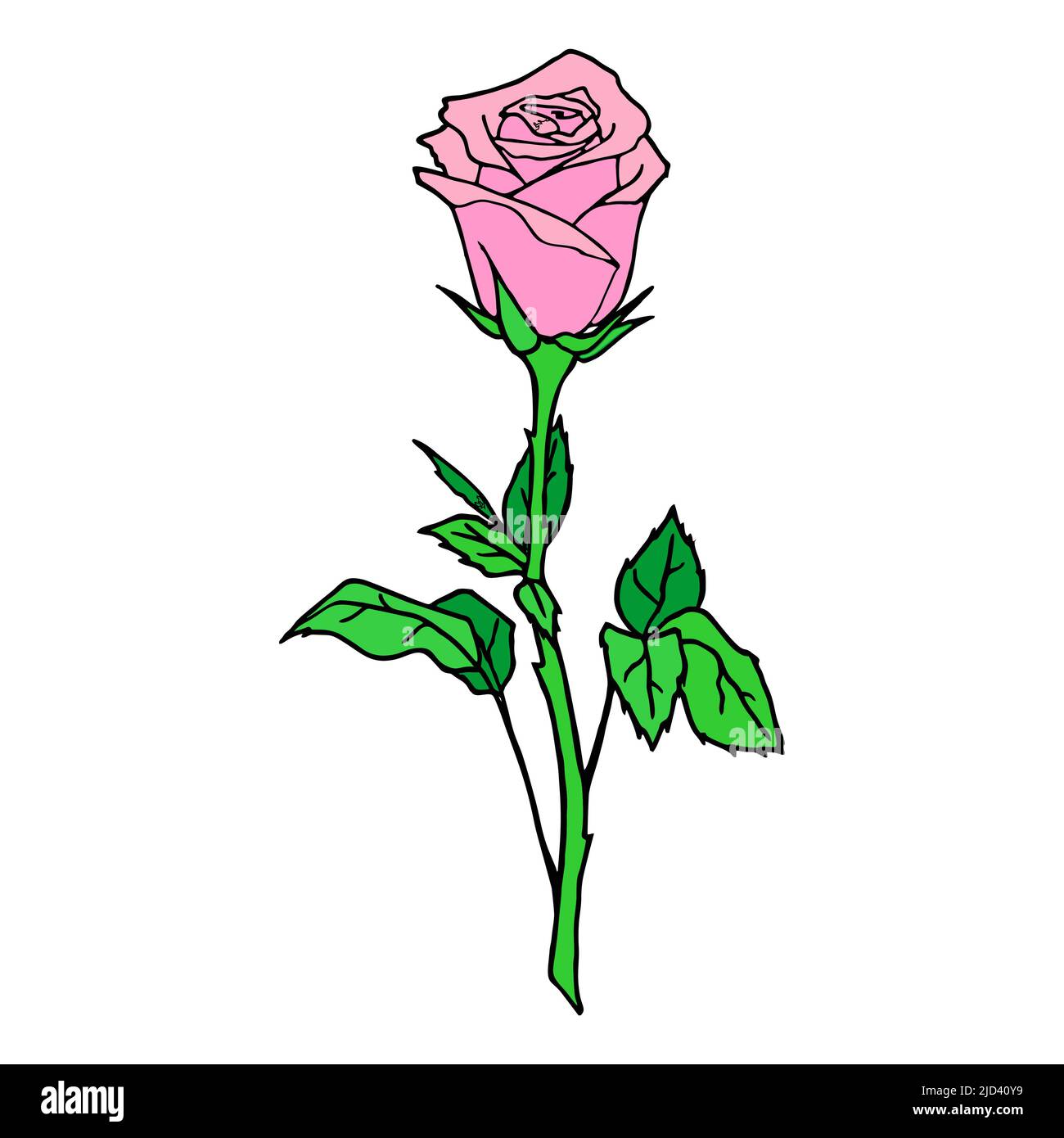 dessin graphique couleur d'une rose rose sur fond blanc, design, art, valentin Illustration de Vecteur