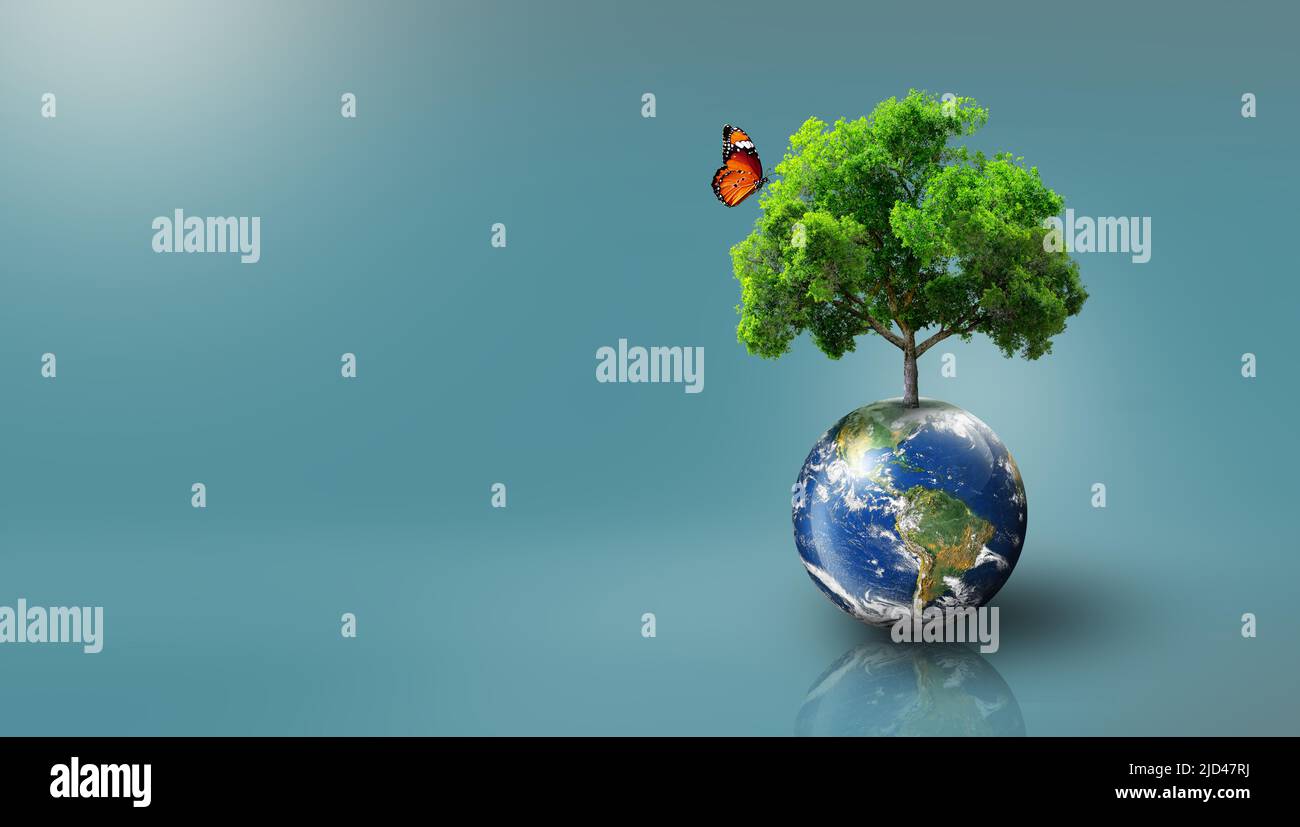 Arbre poussant sur Terre avec herbe verte et papillon. Ecologie mondiale, Journée mondiale de l'environnement, Journée mondiale de la Terre et concept de sauvegarde de l'environnement. Banque D'Images