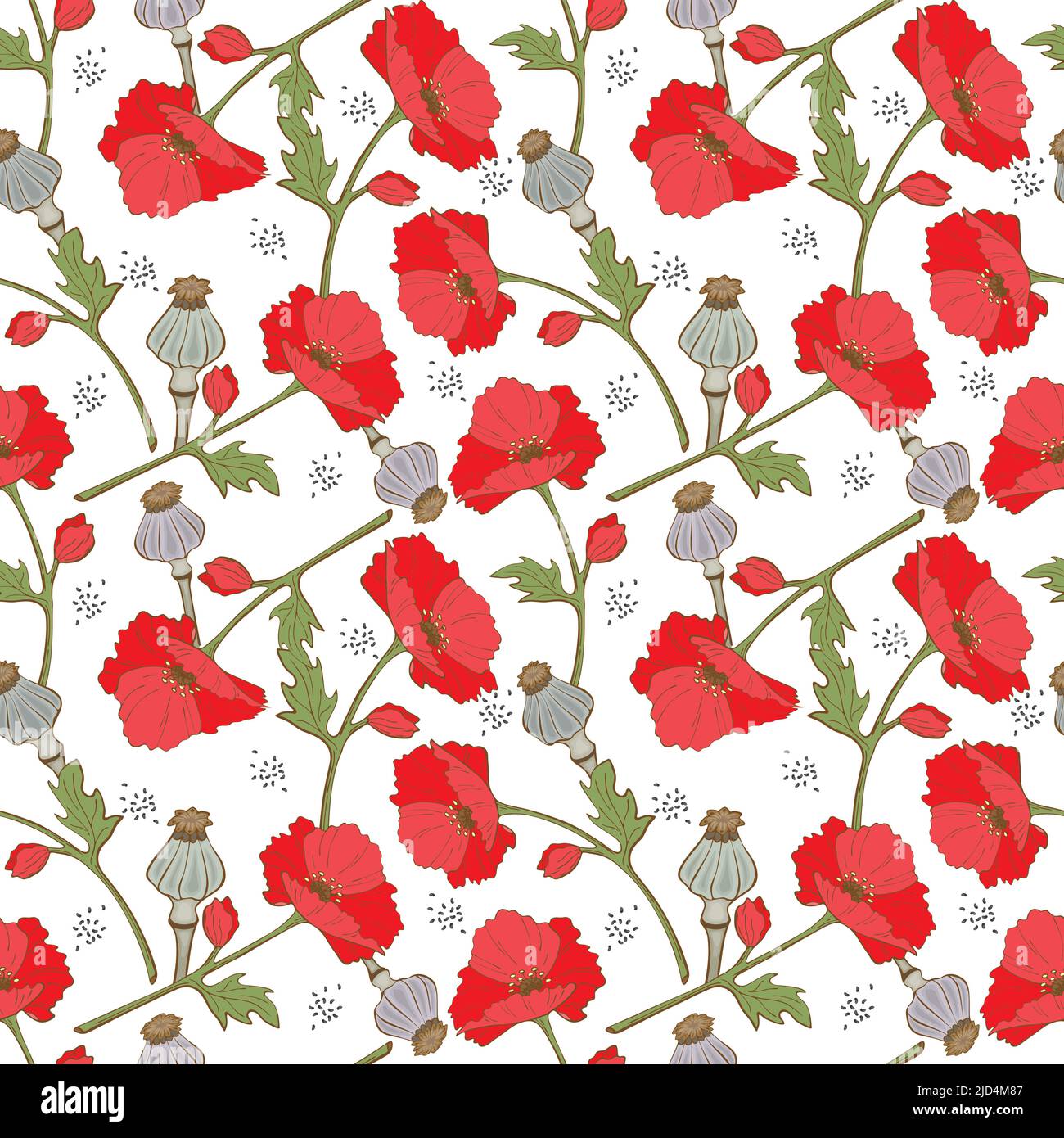 Motif fleurs coquelicot graines et gousses de coquelicot, dessinés à la main dans le style des crosses, fond blanc. Illustration vectorielle Illustration de Vecteur