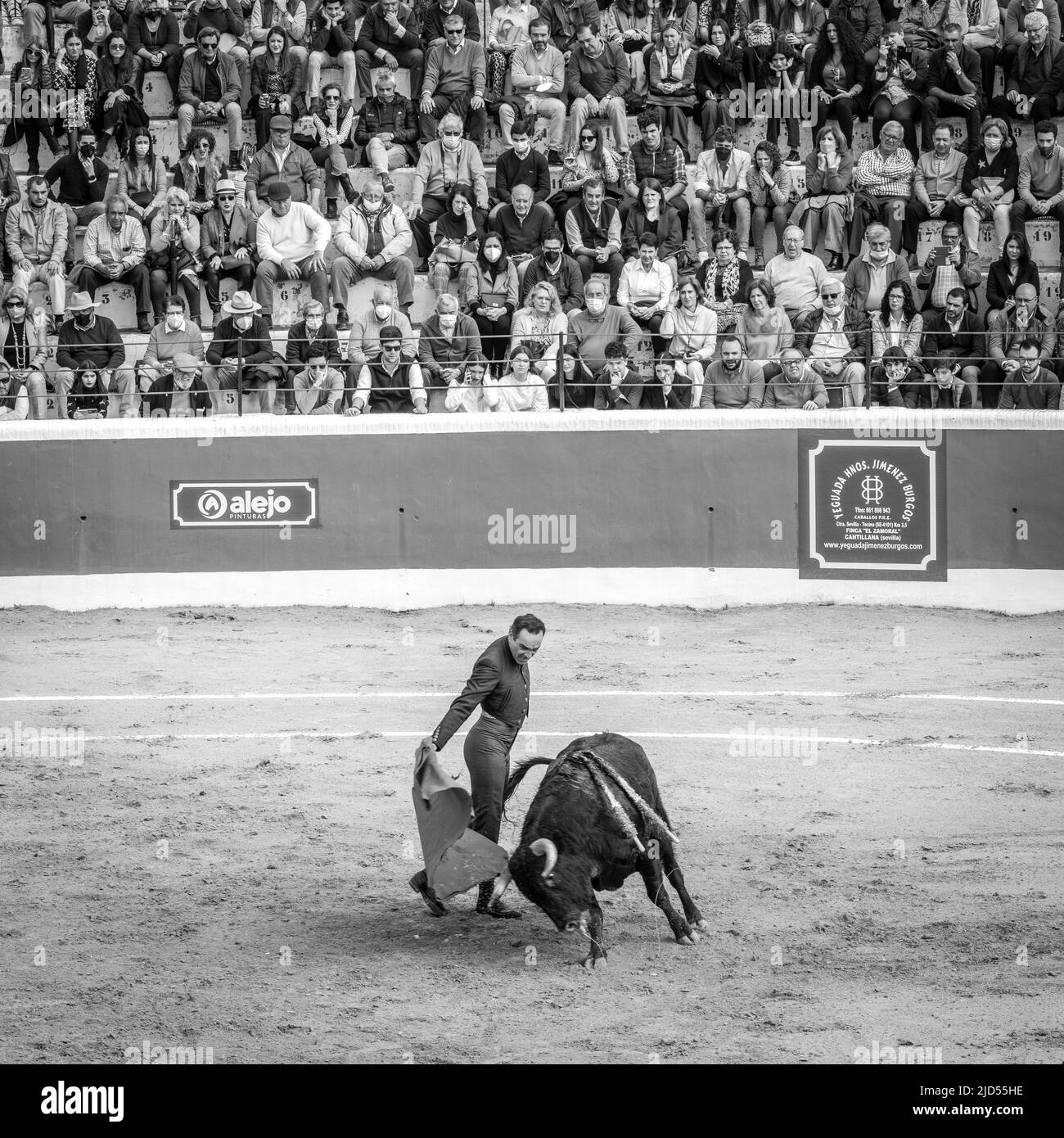 Corrida à Cantillana, Espagne Banque D'Images