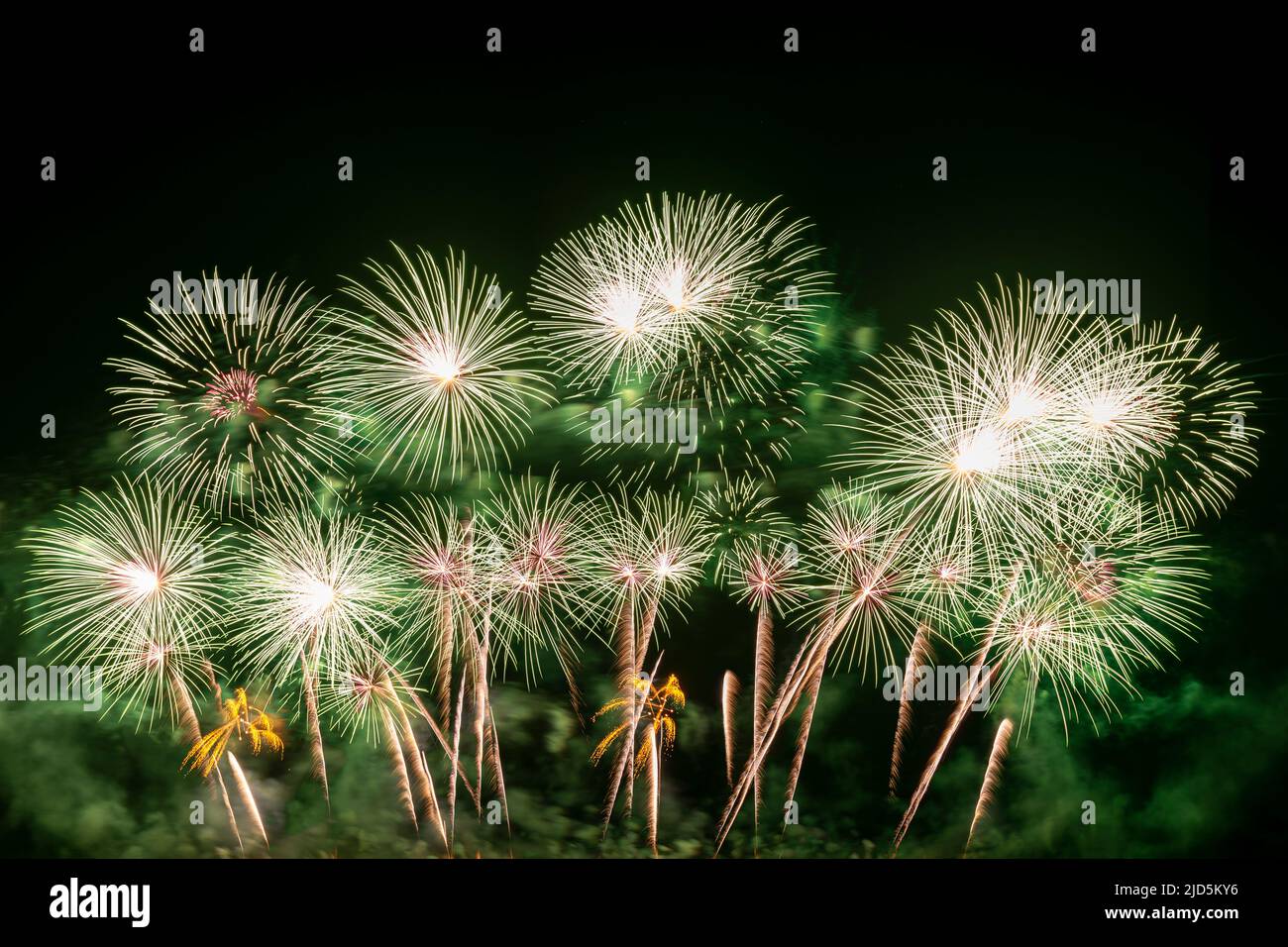 Véritable feu d'artifice, feu d'artifice coloré du nouvel an Banque D'Images