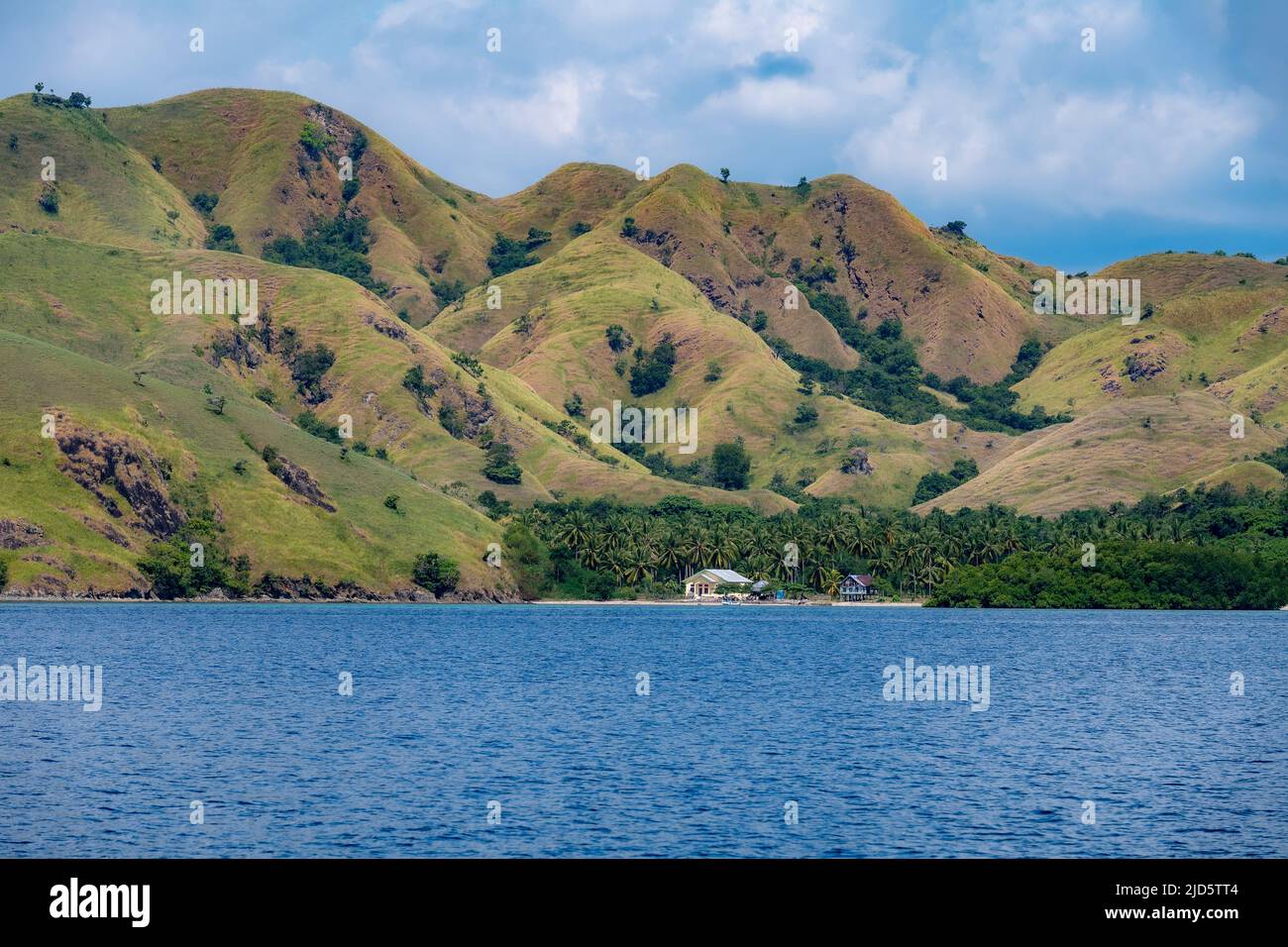 Colonie sur le côté ouest de l'est de Nusa Tanggara, (îles Sunda), Indonésie. Banque D'Images