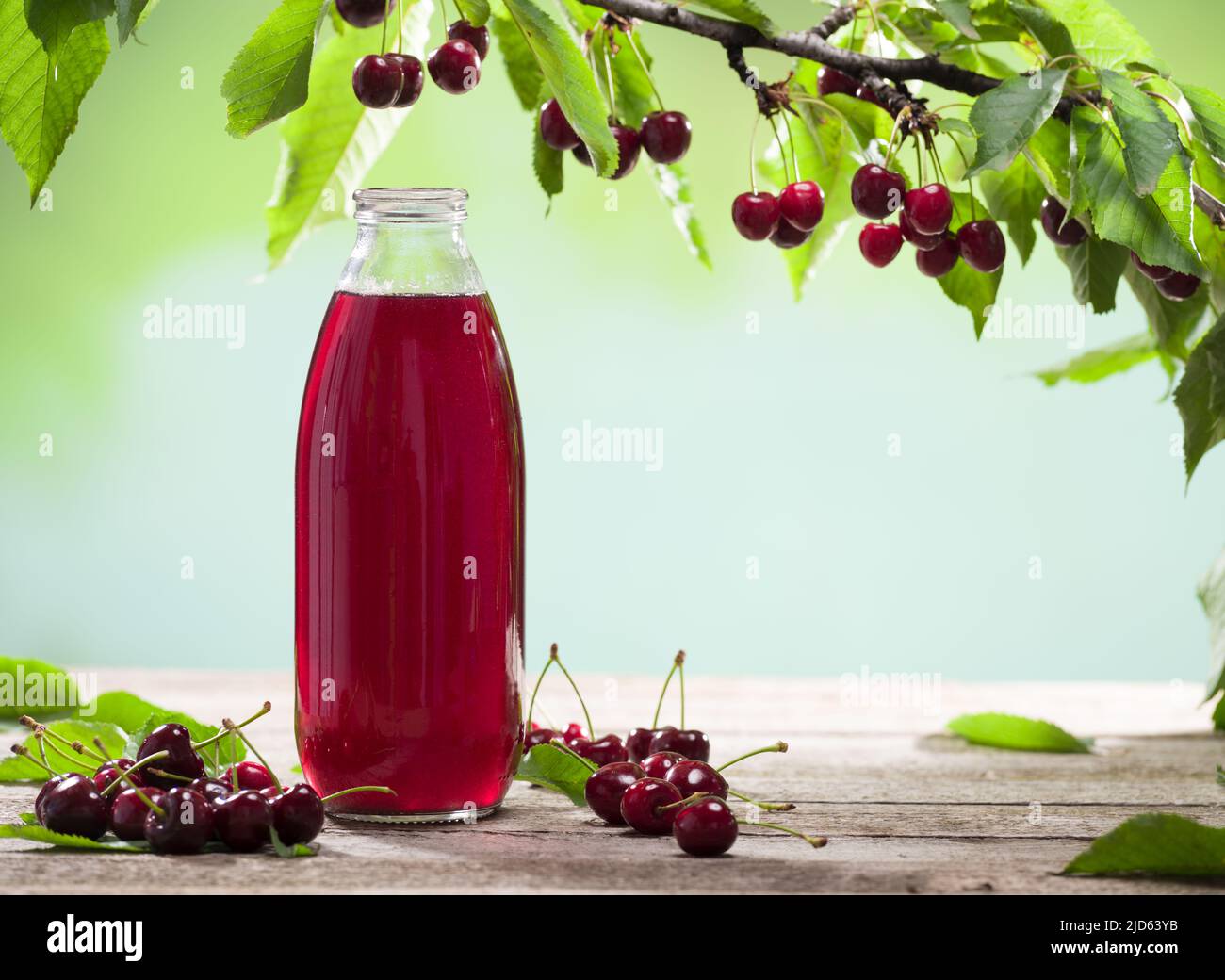 Une bouteille de jus de cerise frais est disponible sur la table du jardin. Cerises mûres fraîches et lumière du lever du soleil sur le cerisier. Banque D'Images