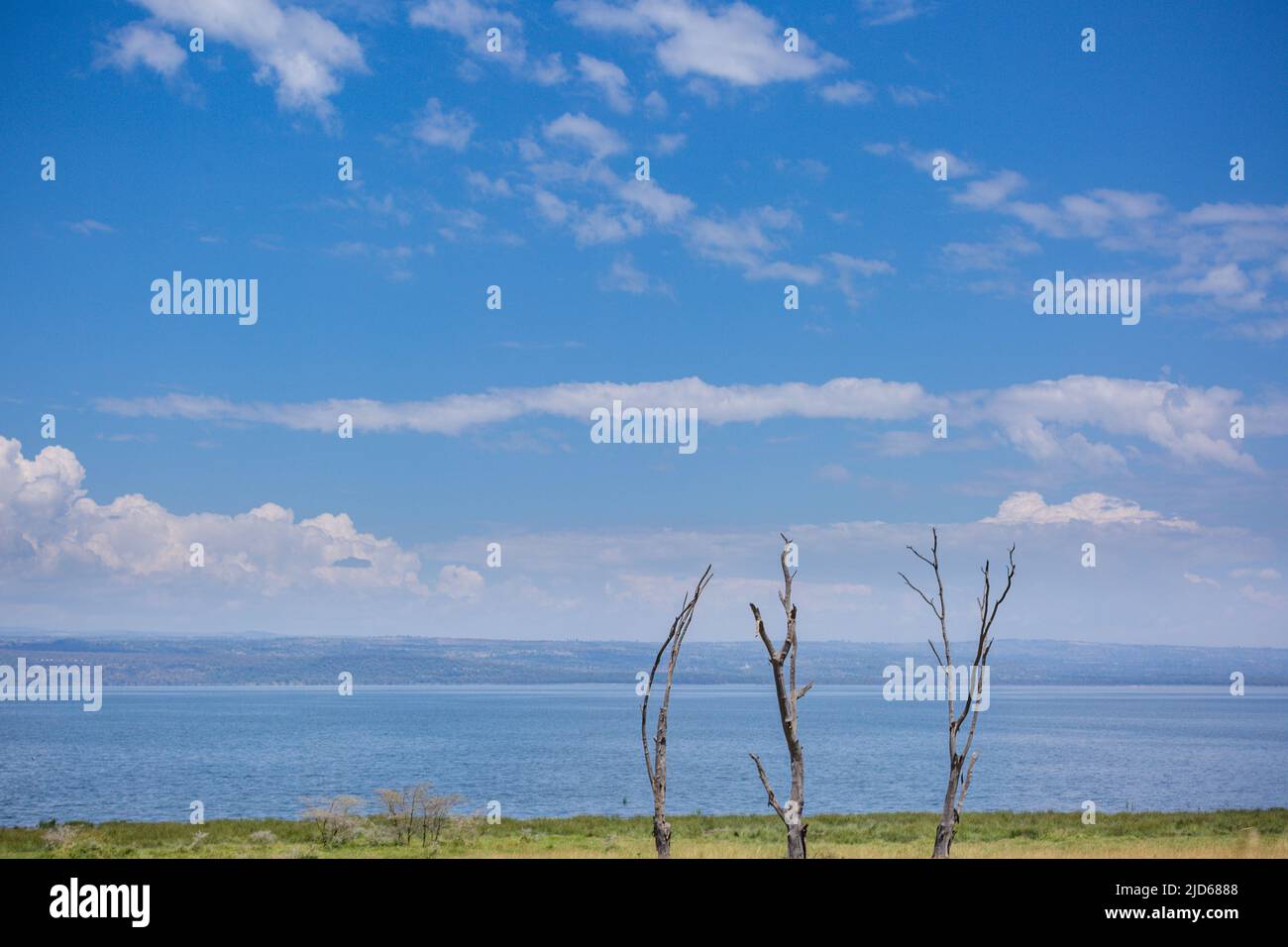 Parc national du lac Nakuru au sol de la vallée du Grand Rift, entouré de prairies boisées et broussailleuses, se trouve le magnifique lac Nakuru National par Banque D'Images