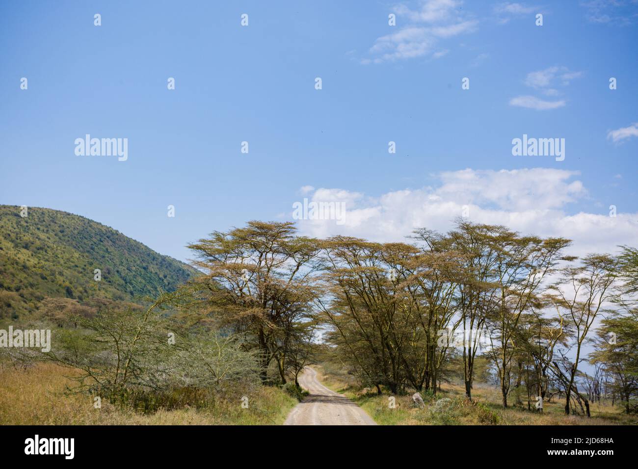 Parc national du lac Nakuru au sol de la vallée du Grand Rift, entouré de prairies boisées et broussailleuses, se trouve le magnifique lac Nakuru National par Banque D'Images
