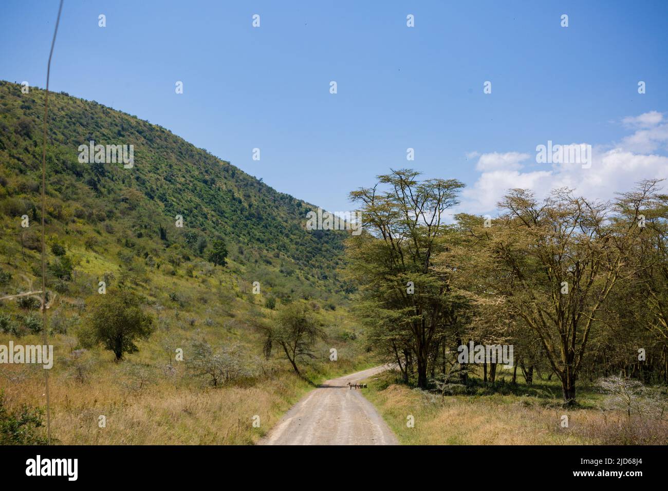 Parc national du lac Nakuru au sol de la vallée du Grand Rift, entouré de prairies boisées et broussailleuses, se trouve le magnifique lac Nakuru National par Banque D'Images