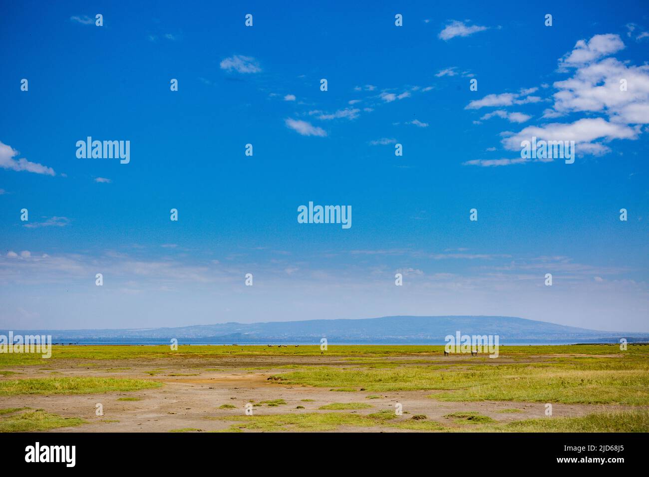 Parc national du lac Nakuru au sol de la vallée du Grand Rift, entouré de prairies boisées et broussailleuses, se trouve le magnifique lac Nakuru National par Banque D'Images