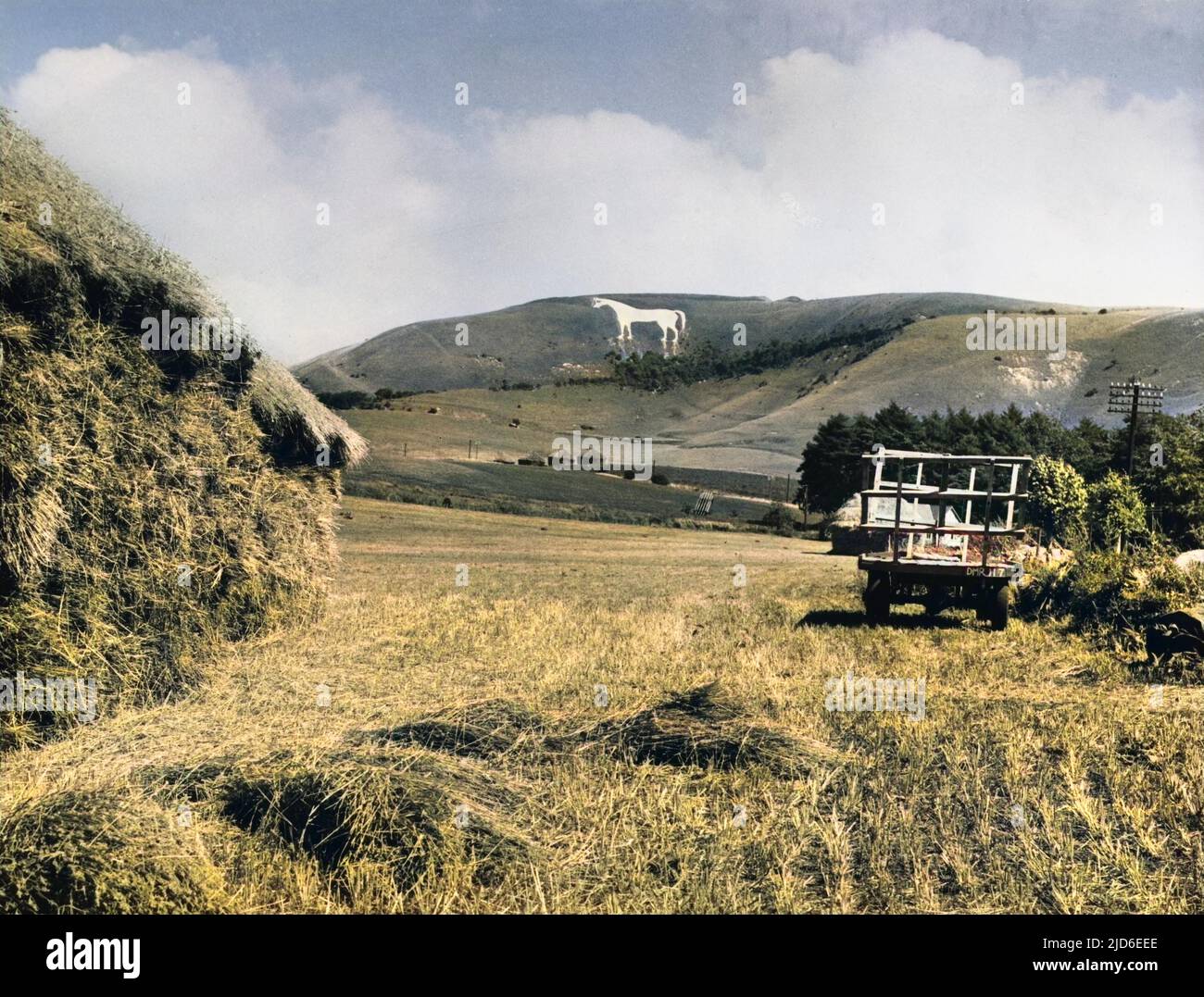 Sur les Downs à Westbury, Wilts est ce grand cheval blanc commémorant la défaite des Danois par Alfred à la bataille d'Ethandune en 878. Version colorisée de : 10125250 Date: 1930s Banque D'Images