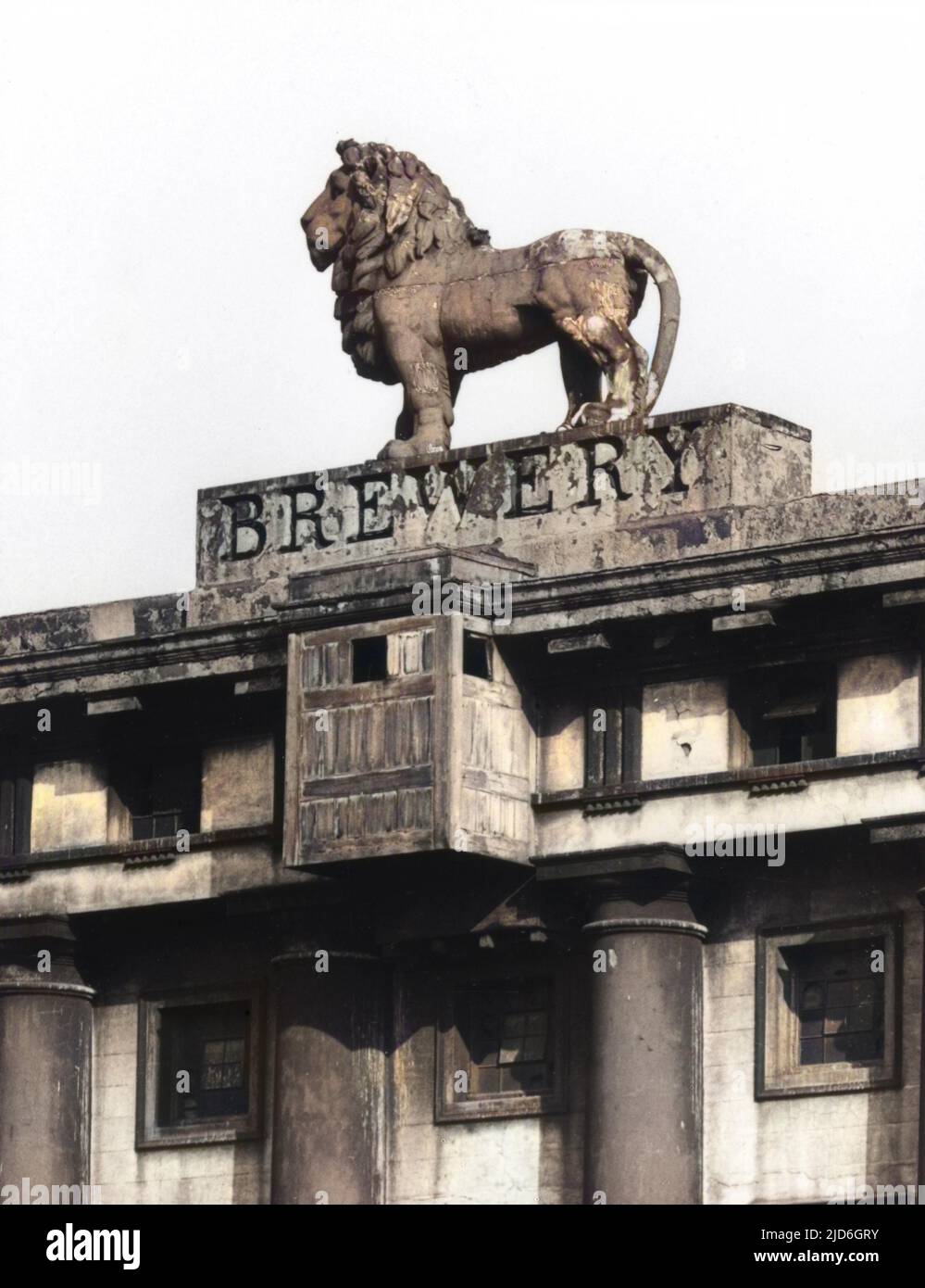La célèbre statue du lion sur la brasserie Lion, Waterloo, Londres. La brasserie a été démolie en 1951 pour faire place au Royal Festival Hall et au Festival of Britain version colorisée de : 10182252 Date: 19th siècle Banque D'Images