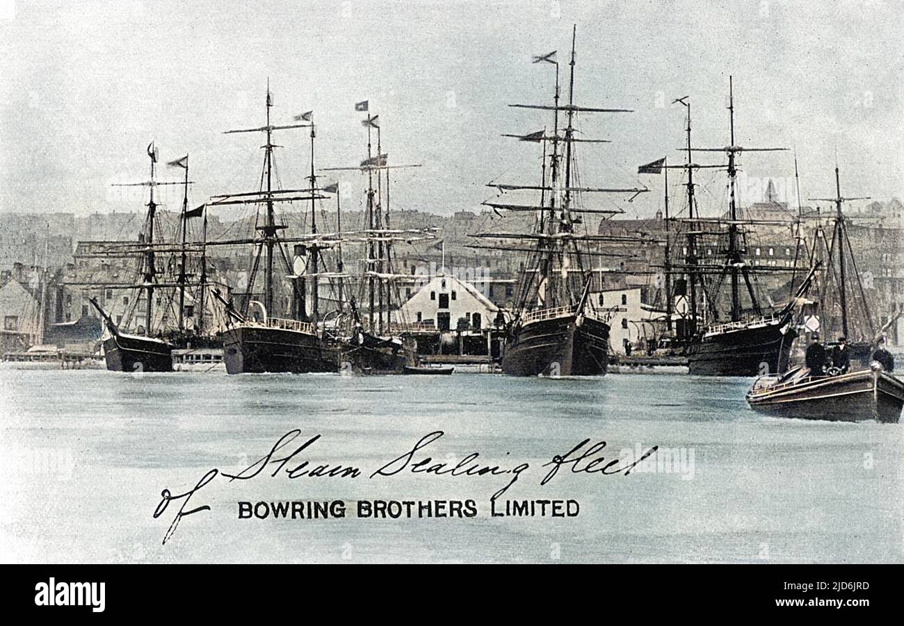 Quais à St. Johns Harbour, Terre-Neuve, Canada - Bowling Brothers Steam Sealing Fleet version colorisée de : 10823731 Date: 1902 Banque D'Images