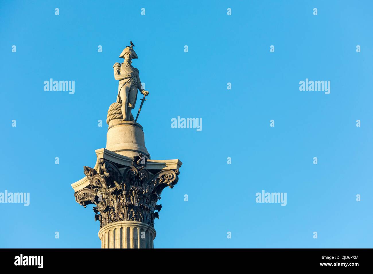 La colonne Nelson, Trafalgar Square, London, England, UK Banque D'Images