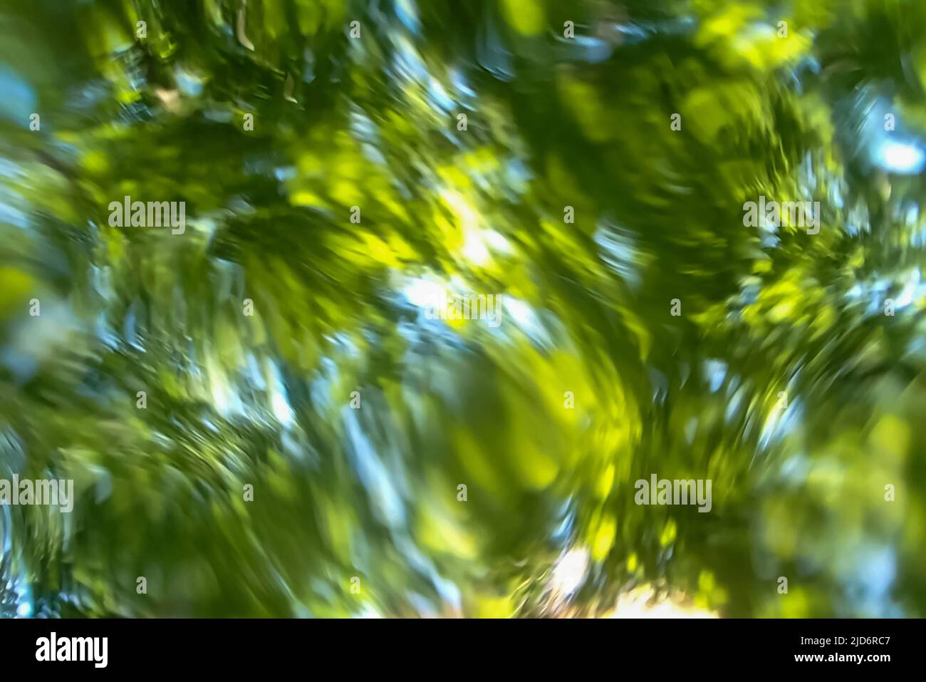 Résumé vert forêt nature arrière-plan vue à angle bas des sommets des arbres tiré à travers l'eau en mouvement. Excellente image trippy avec énergie, texture et dimen Banque D'Images