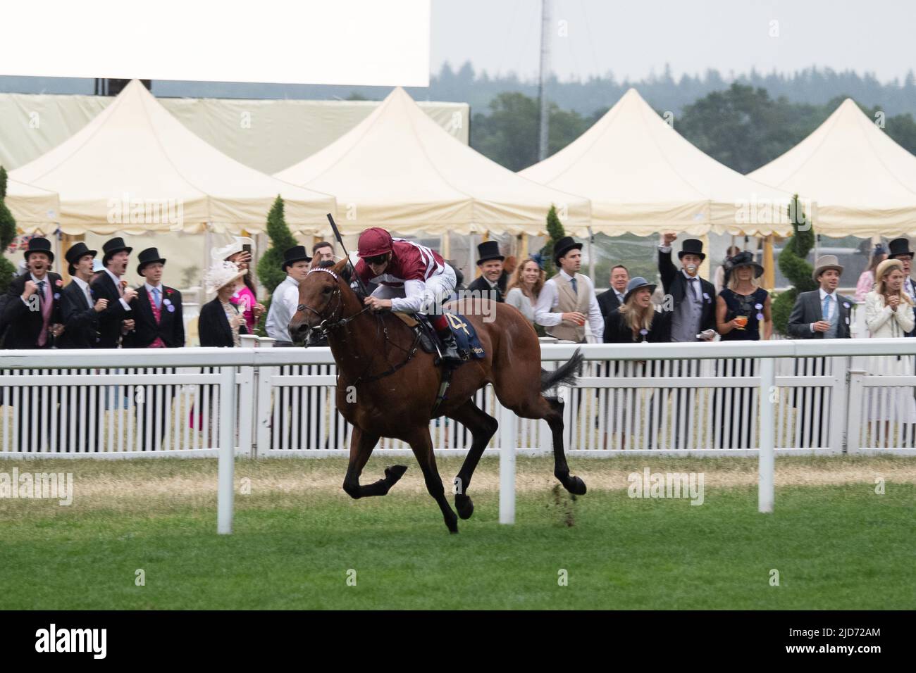 Ascot, Berkshire, Royaume-Uni. 18th juin 2022. Le cheval a manqué la coupe criblée par le jockey James McDonald a gagné la course de Golden Gates Stakes à Royal Ascot aujourd'hui. Propriétaire Ed Babington. Formateur George Boughey. Crédit : Maureen McLean/Alay Live News Banque D'Images
