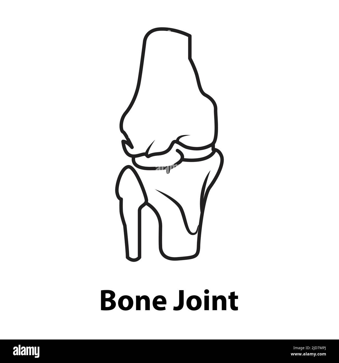 vecteur articulaire de l'os du genou. sur fond blanc Illustration de Vecteur
