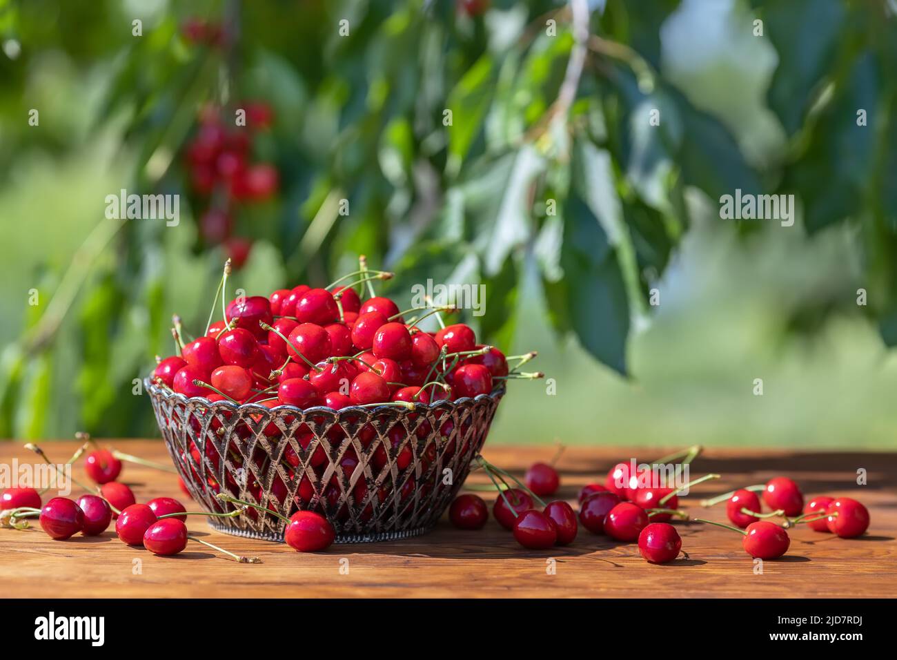 cerises mûres dans un panier sur une table en bois à l'extérieur Banque D'Images
