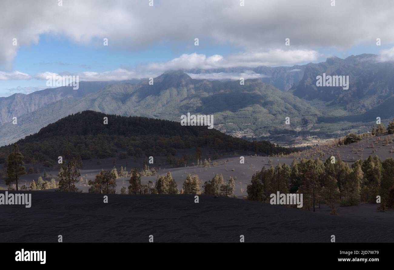 La Palma, paysage de la partie centrale de l'île, dans la municipalité d'El Paso dunes noires de cendres volcaniques du volcan 2021, Canary Pines Banque D'Images