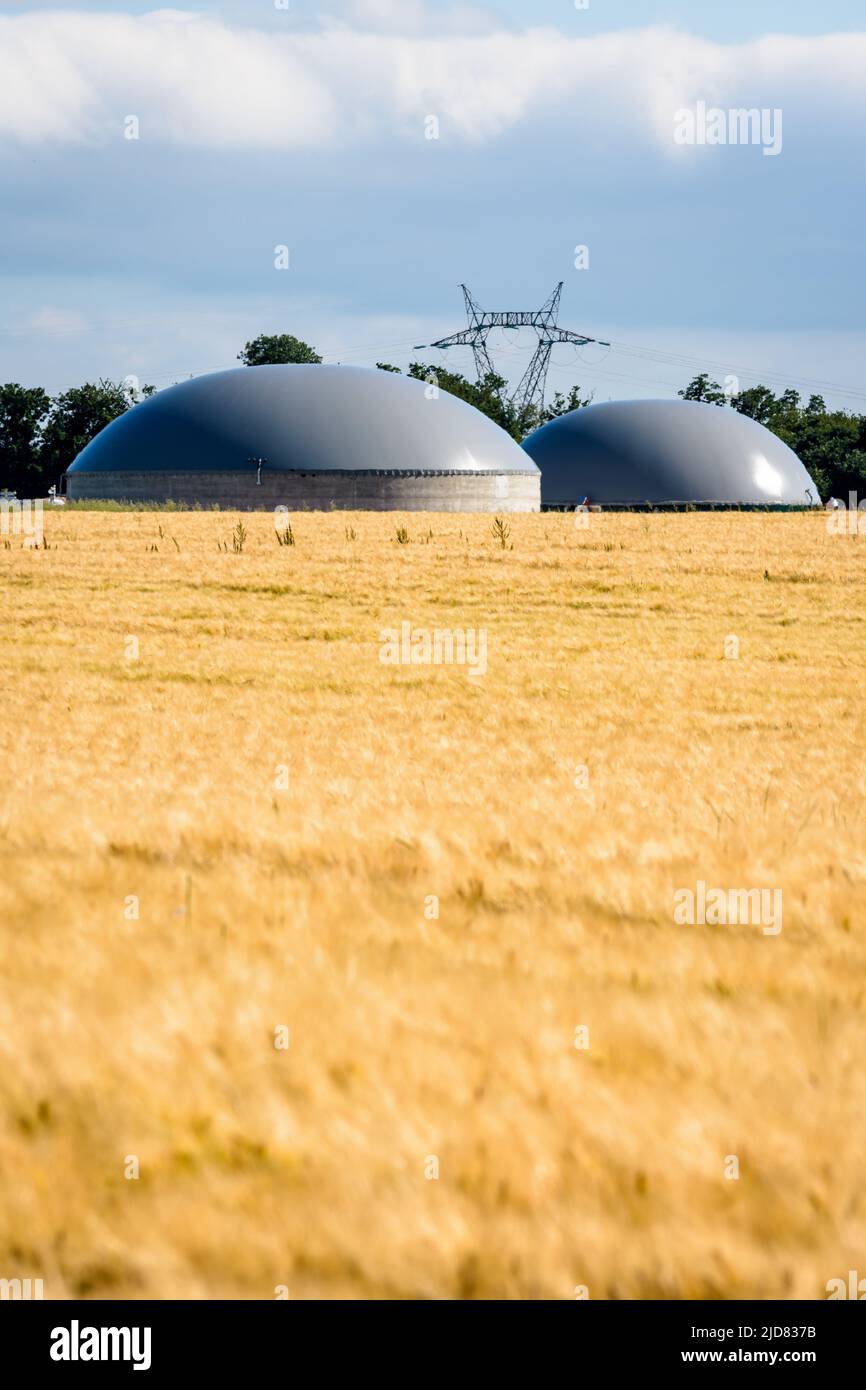 Vue générale d'une usine de biogaz avec deux digesteurs dans un champ de blé et un pylône électrique dans la distance dans la campagne. Banque D'Images