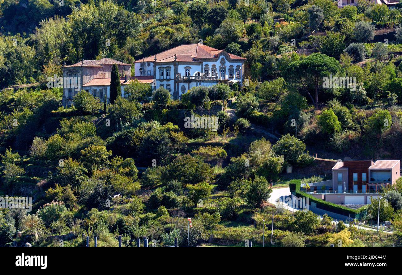 Vignoble de Porto sur les collines de la vallée du Douro près de Pinhao, Porto, Portugal Banque D'Images