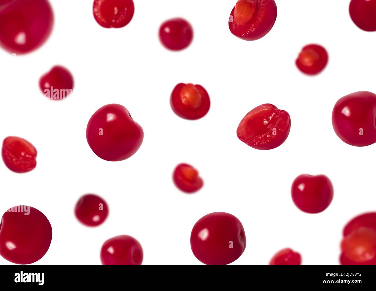 Cerises tranchetées et entières, isolées sur fond blanc. Cerise volante. Motif baies. Banque D'Images