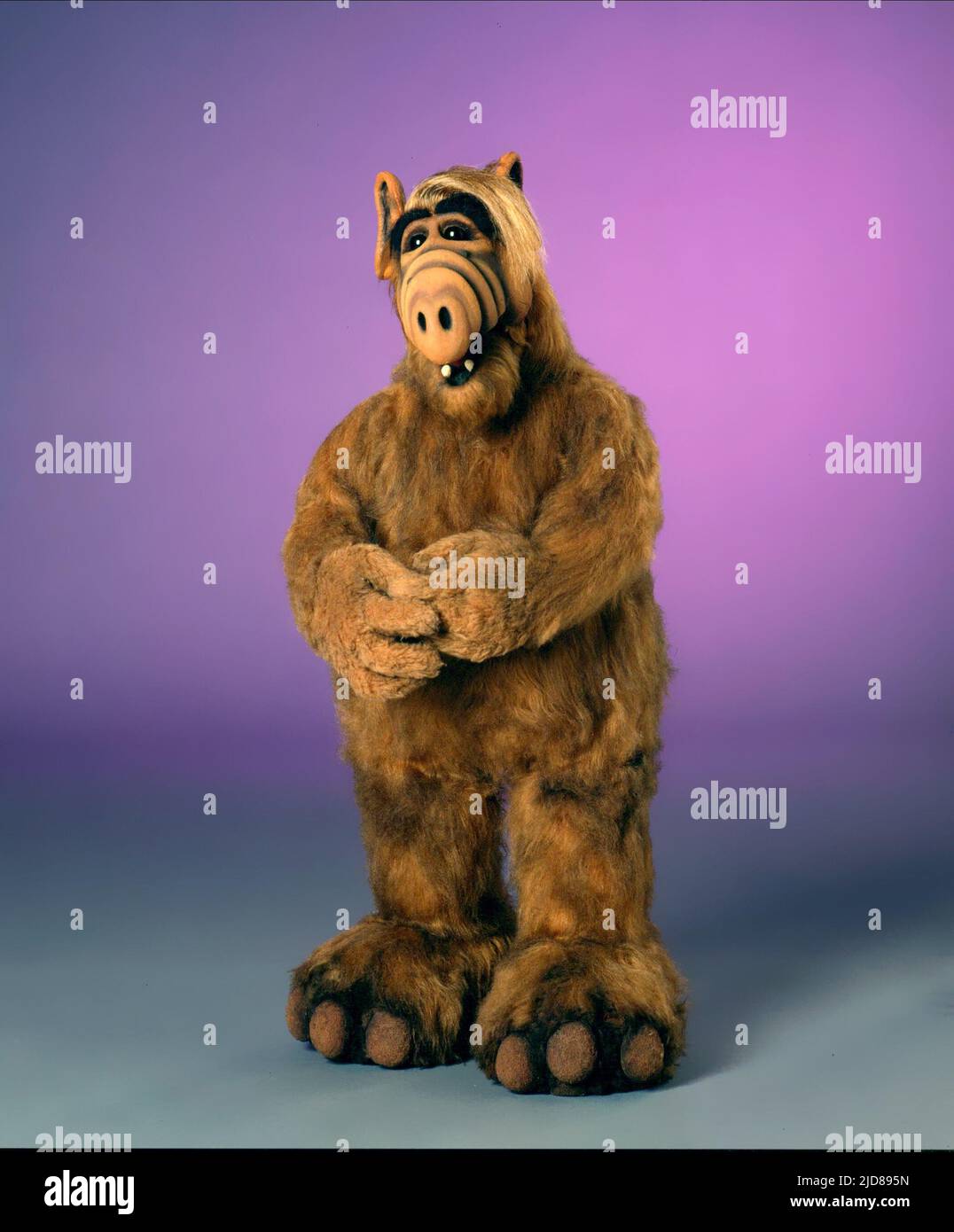 ALF, ALF, 1986, Banque D'Images