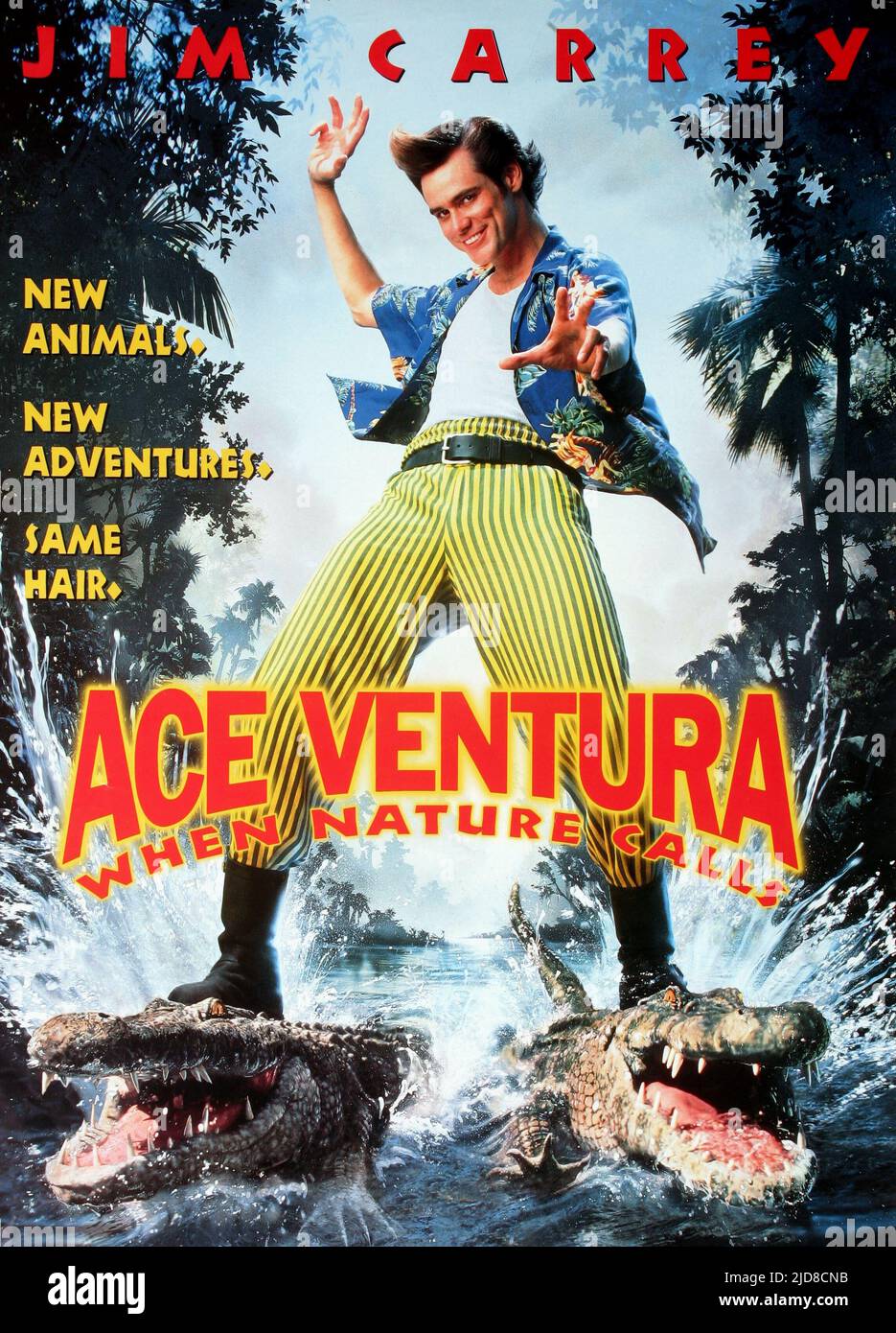 JIM CARREY, affiche de film Ace Ventura : QUAND LA NATURE DES APPELS, 1995 Banque D'Images