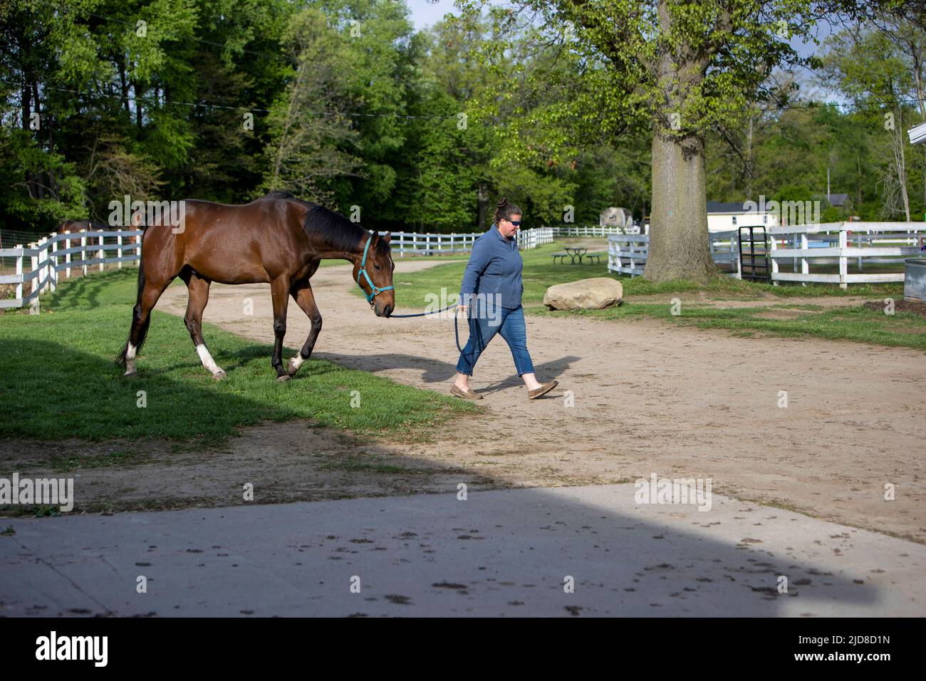 Femme marchant et dirigeant un cheval. Banque D'Images