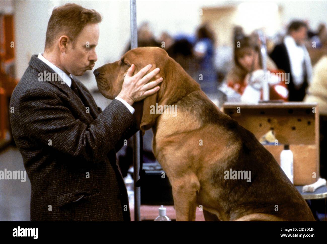 INVITÉ, CHIEN, MEILLEUR DANS LE SPECTACLE, 2000, Banque D'Images