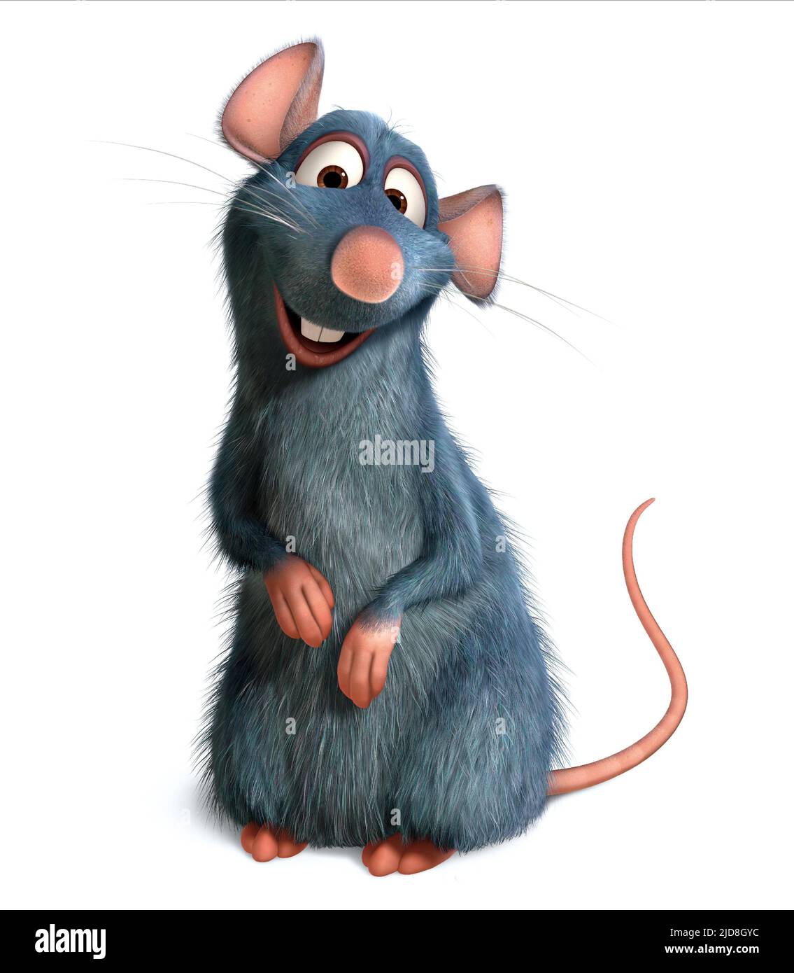 REY, RATATOUILLE, 2007, Banque D'Images