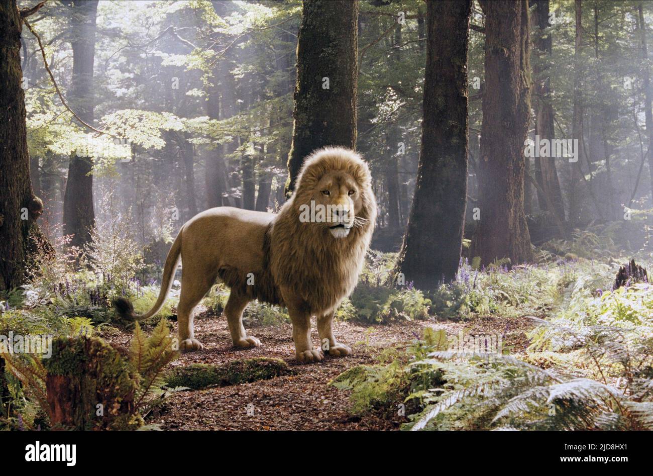 ASLAN, THE CHRONICLES OF NARNIA: PRINCE CASPIAN, 2008, Banque D'Images